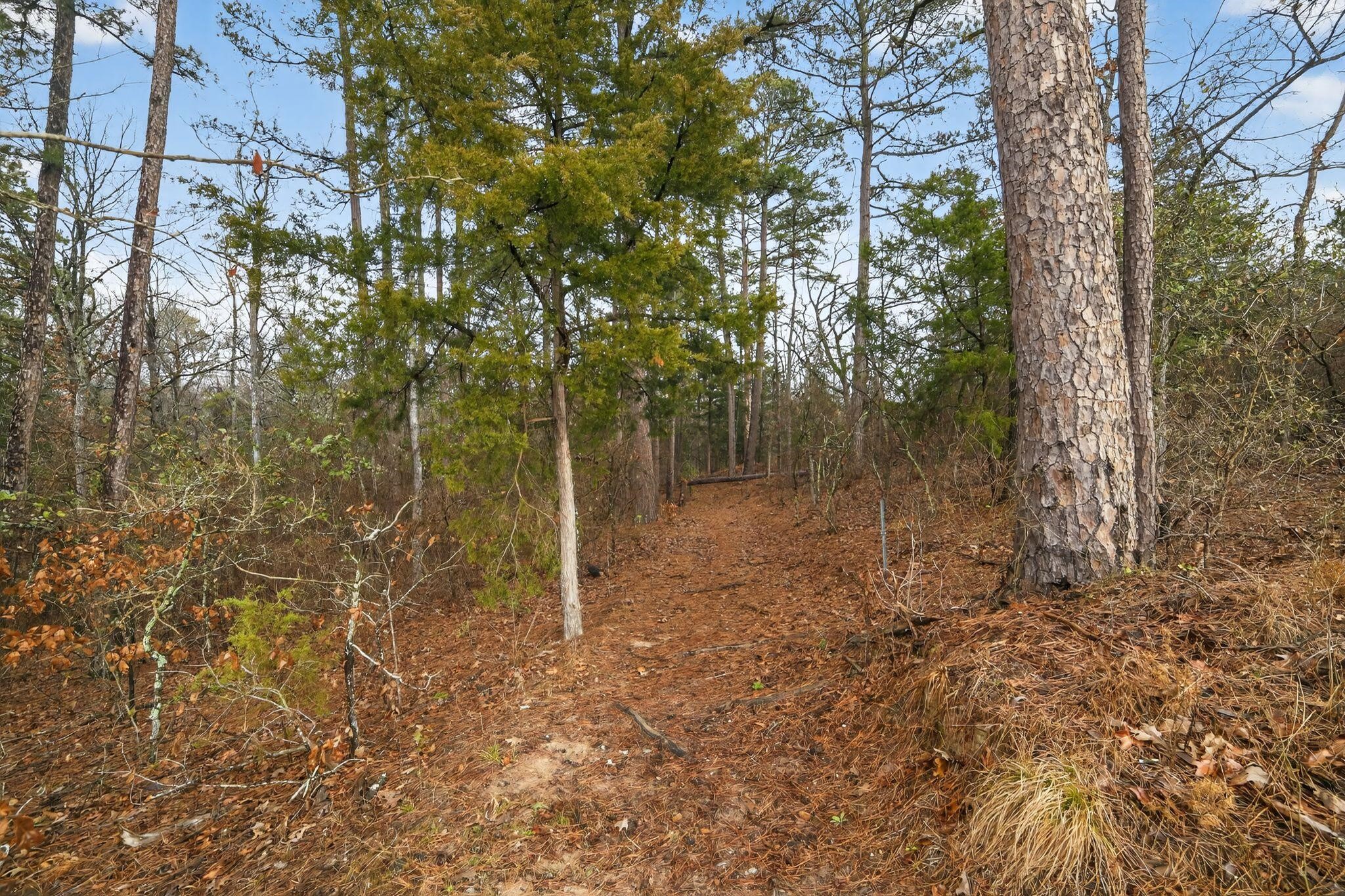 868 County Road 2920 Alba TX 75410