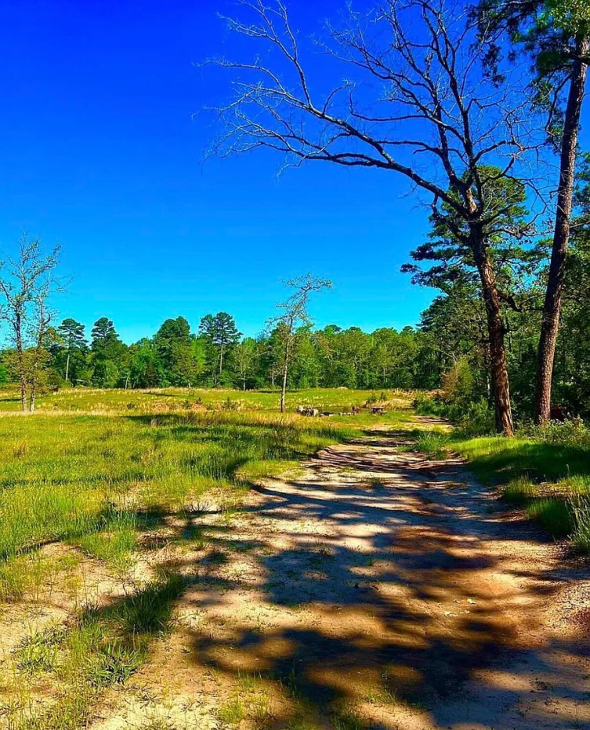 868 County Road 2920 Alba TX 75410