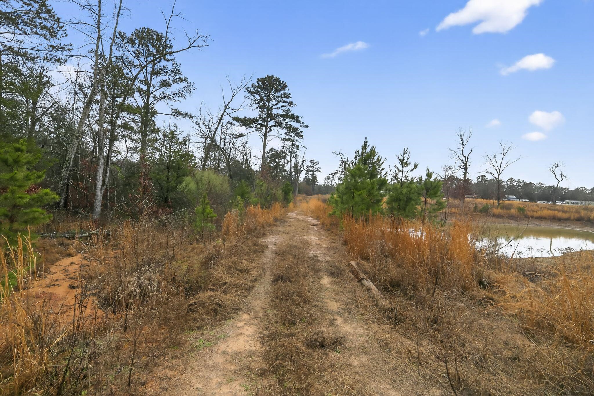 868 County Road 2920 Alba TX 75410