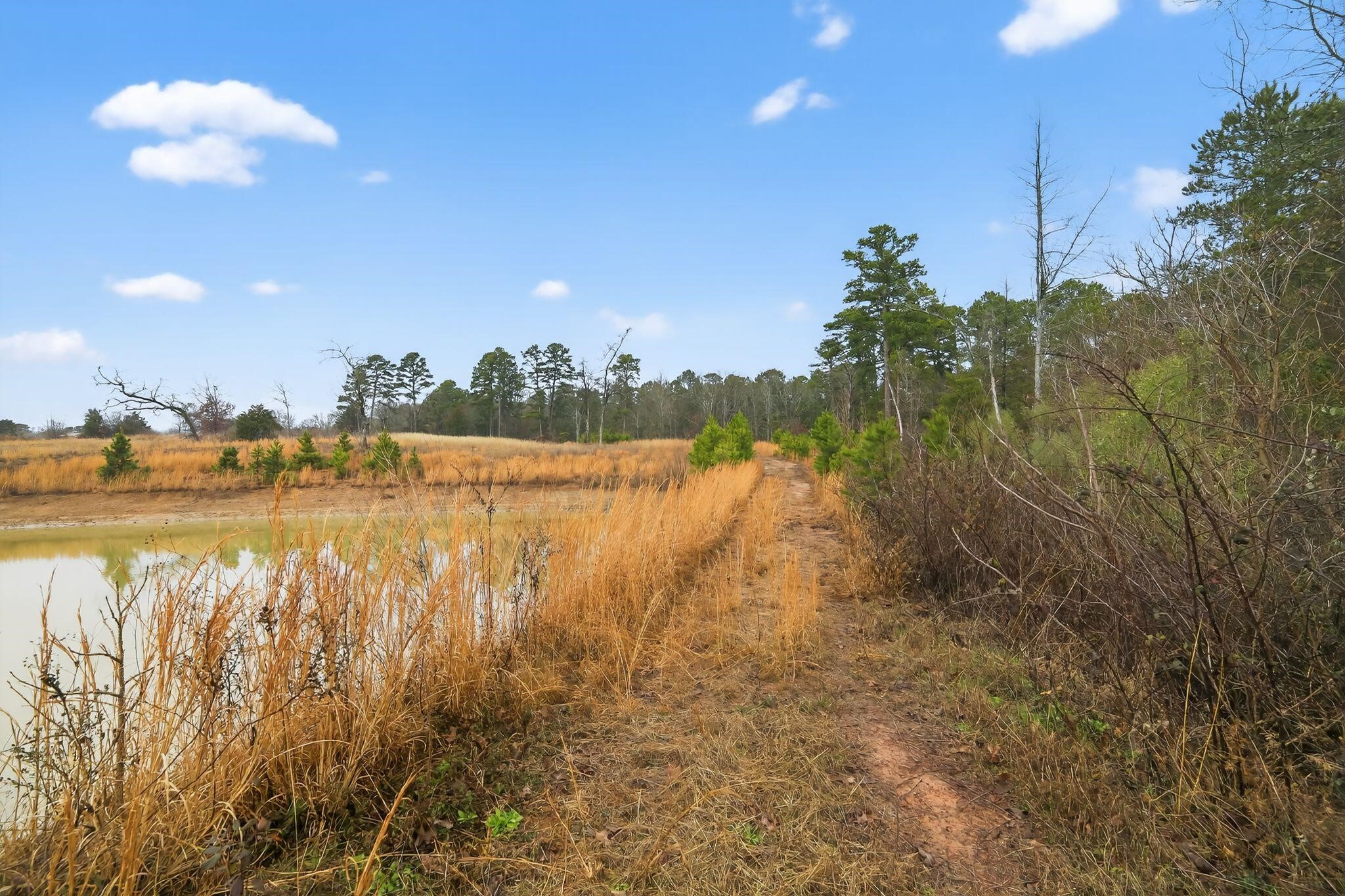 868 County Road 2920 Alba TX 75410