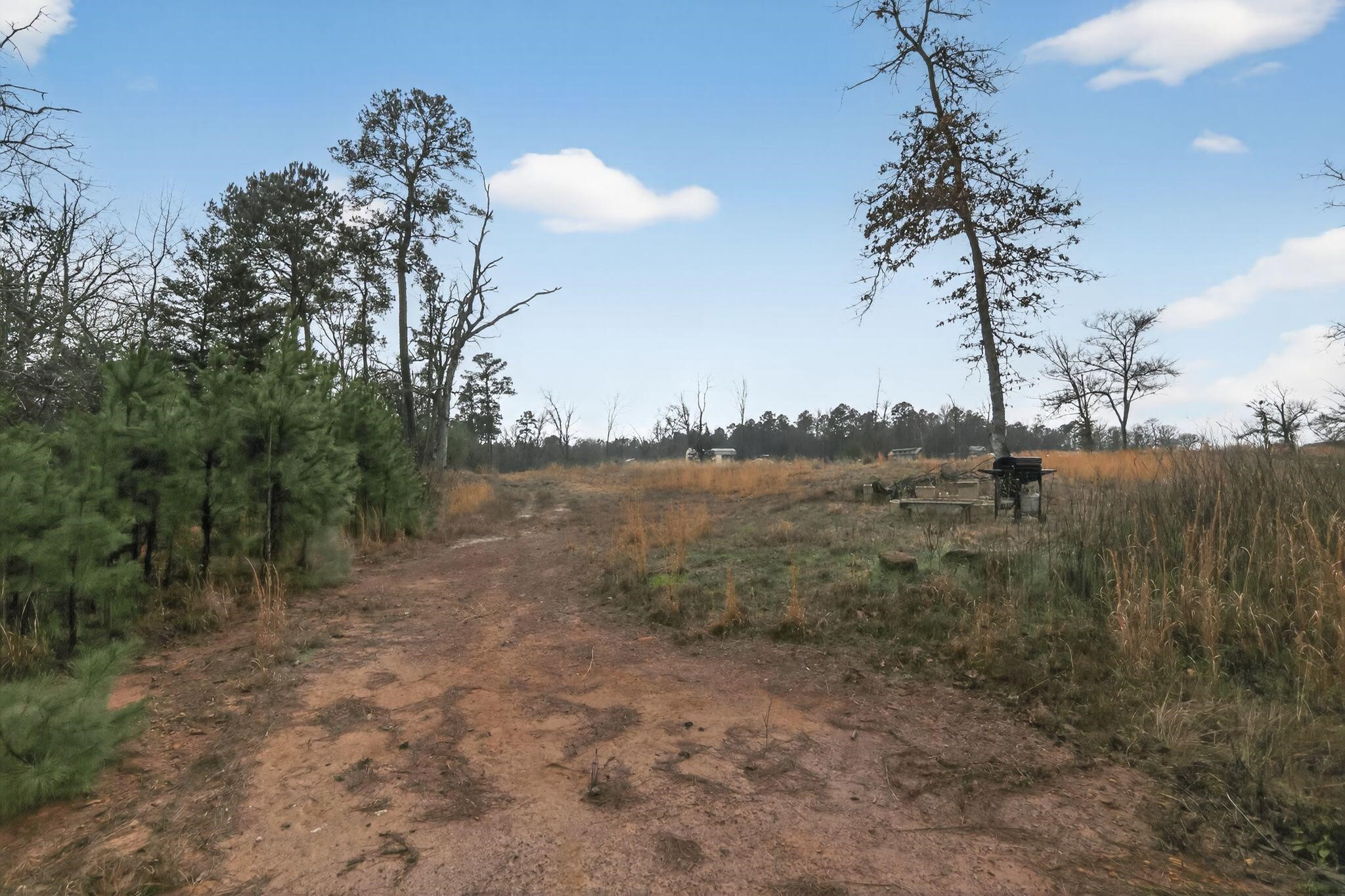 868 County Road 2920 Alba TX 75410