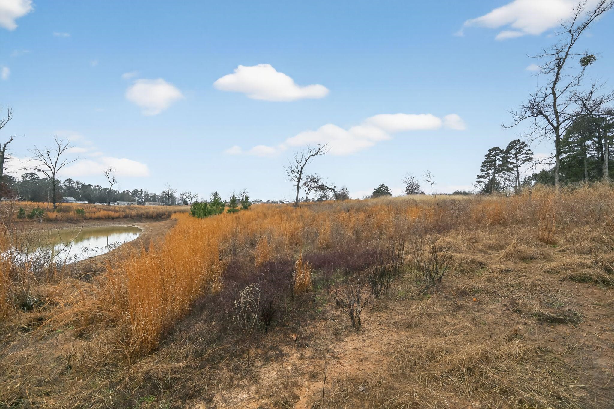 868 County Road 2920 Alba TX 75410