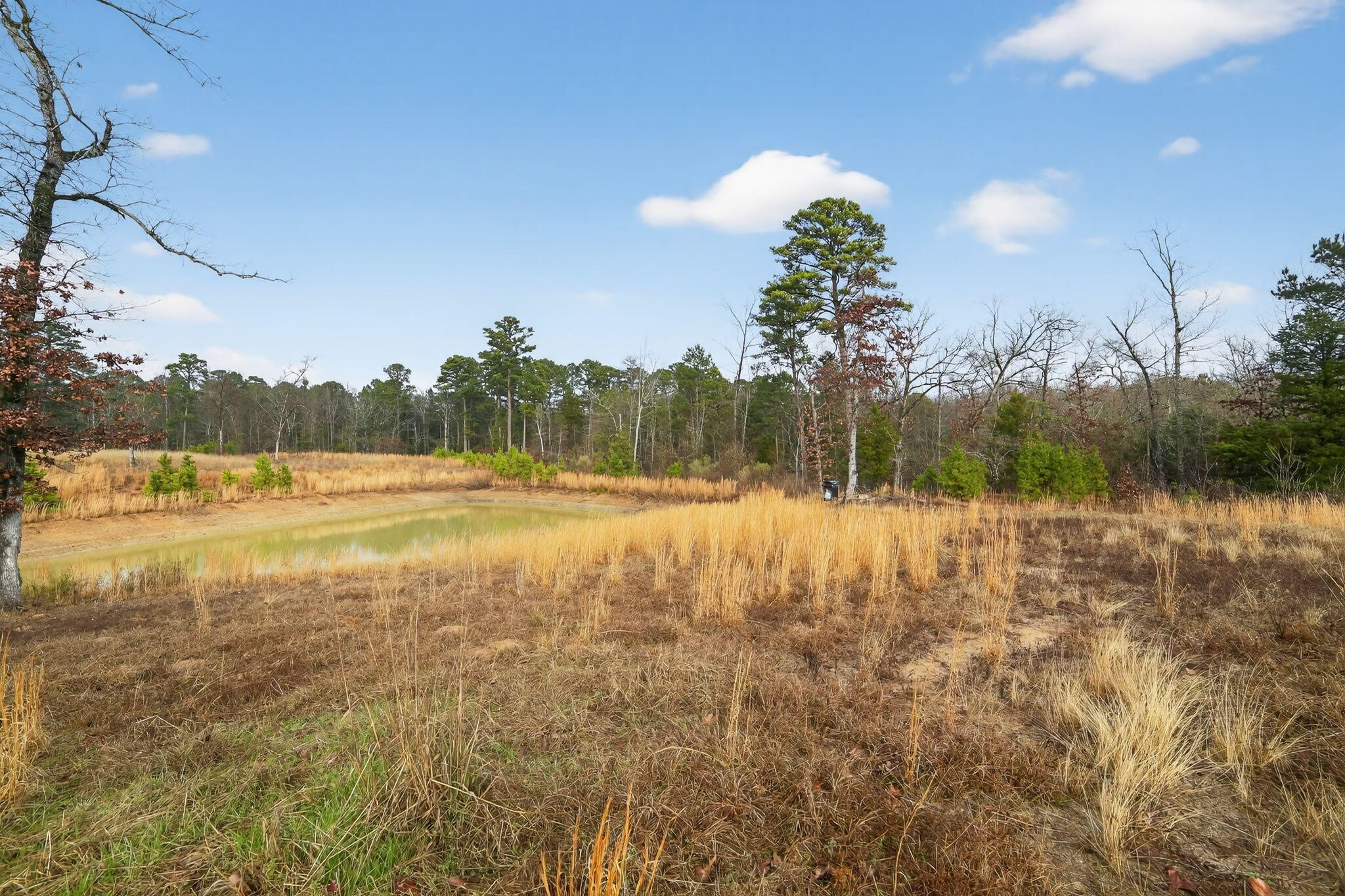 868 County Road 2920 Alba TX 75410