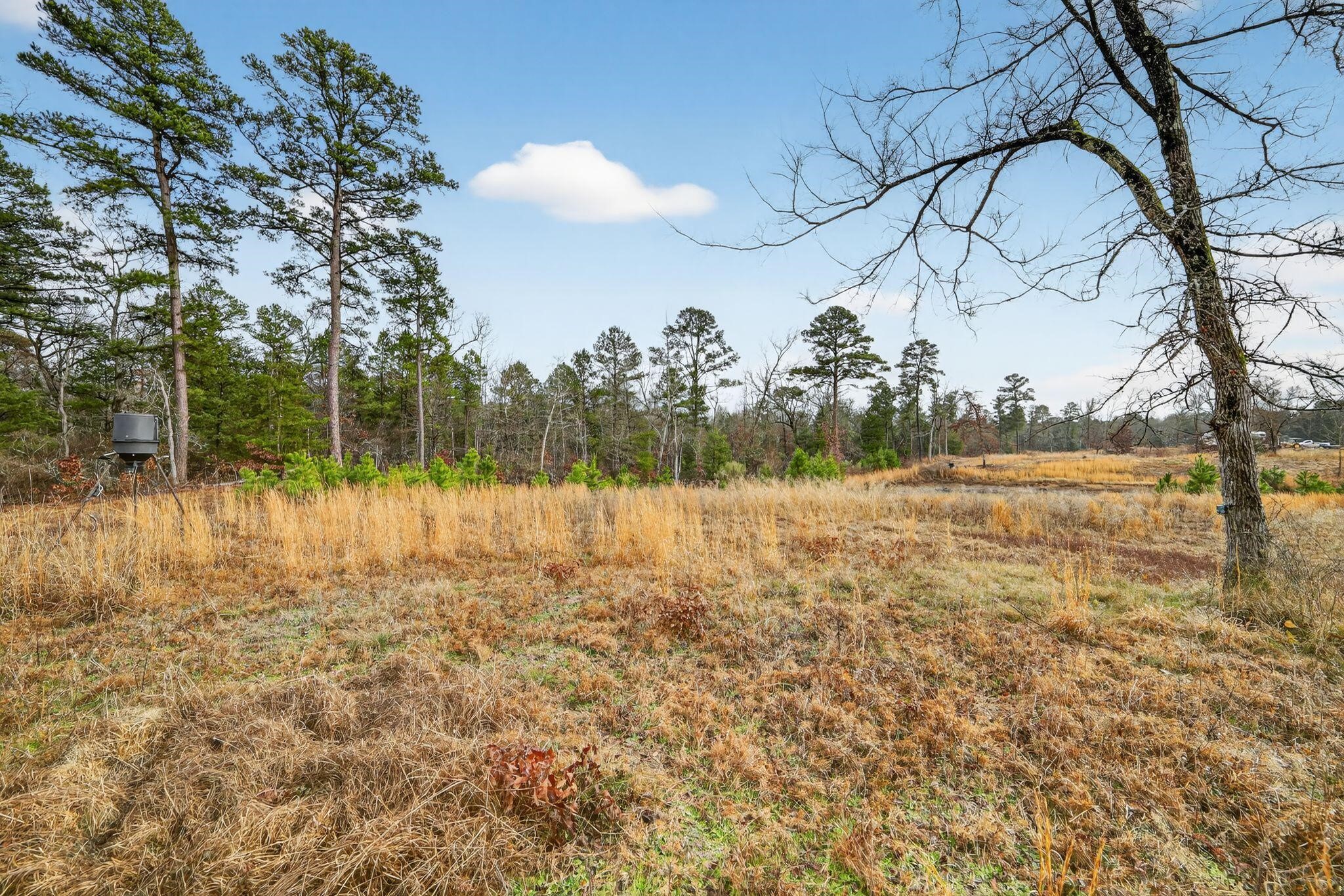 868 County Road 2920 Alba TX 75410