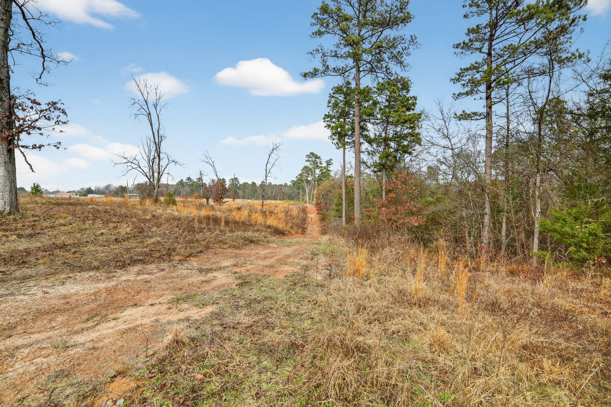 868 County Road 2920 Alba TX 75410