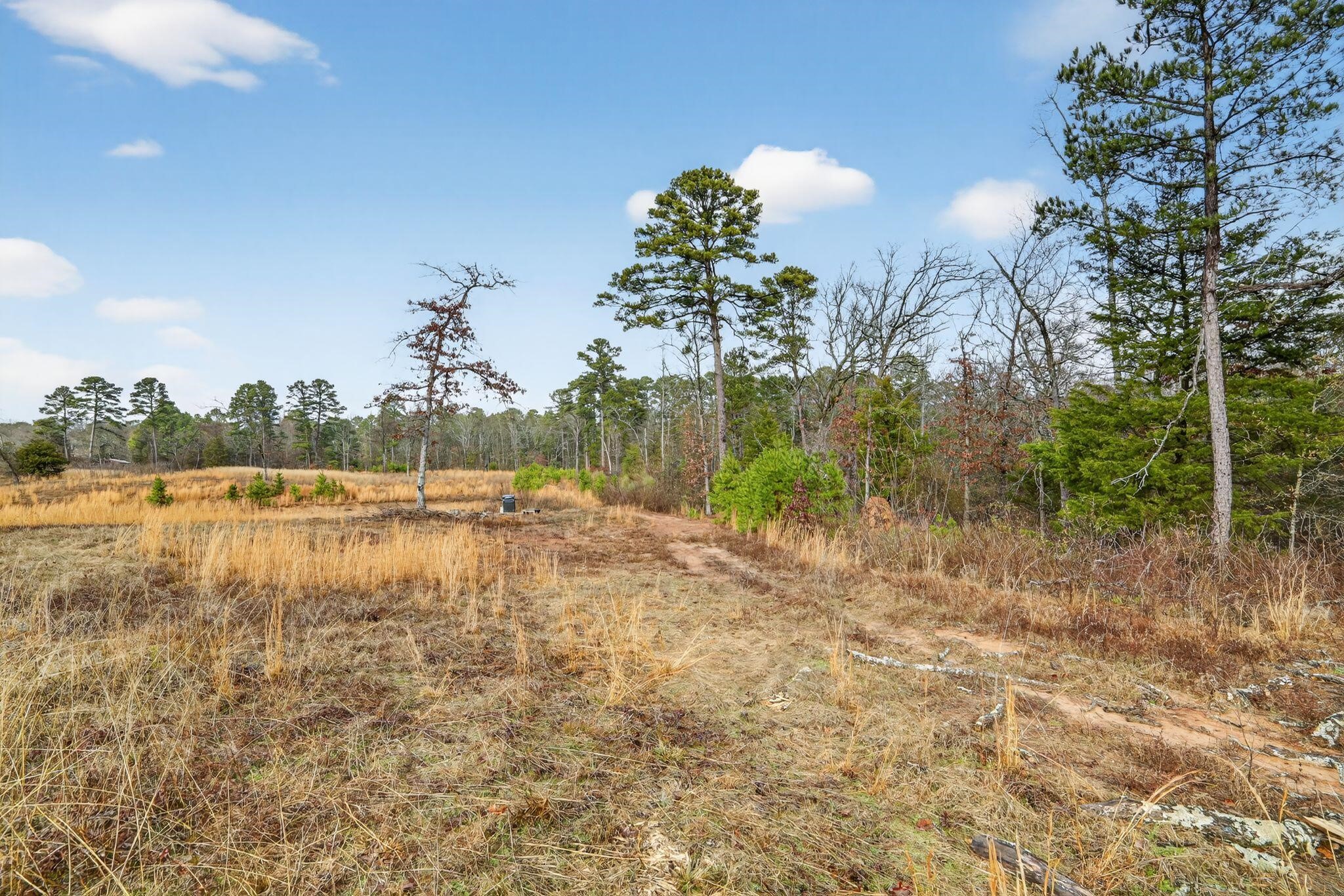 868 County Road 2920 Alba TX 75410