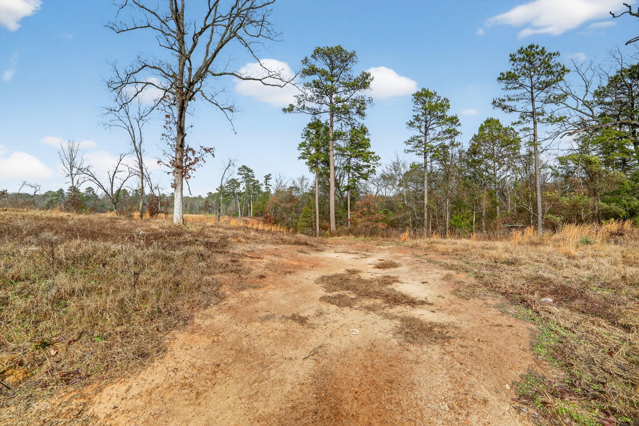 868 County Road 2920 Alba TX 75410