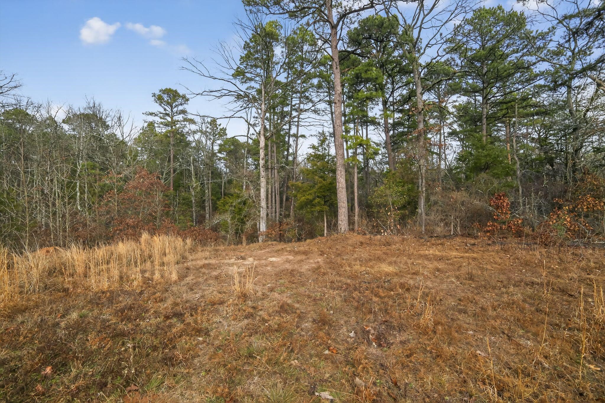 868 County Road 2920 Alba TX 75410