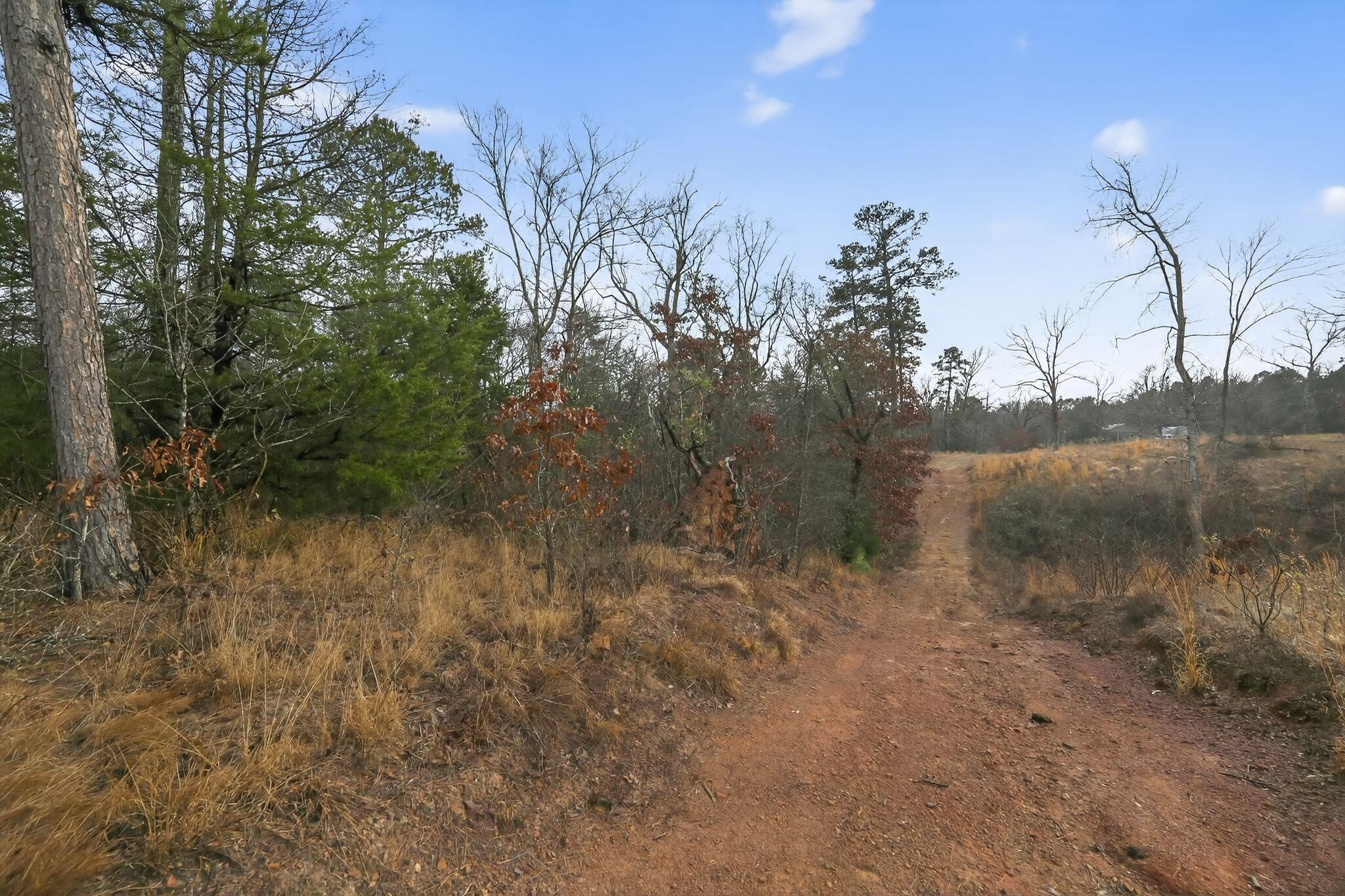 868 County Road 2920 Alba TX 75410