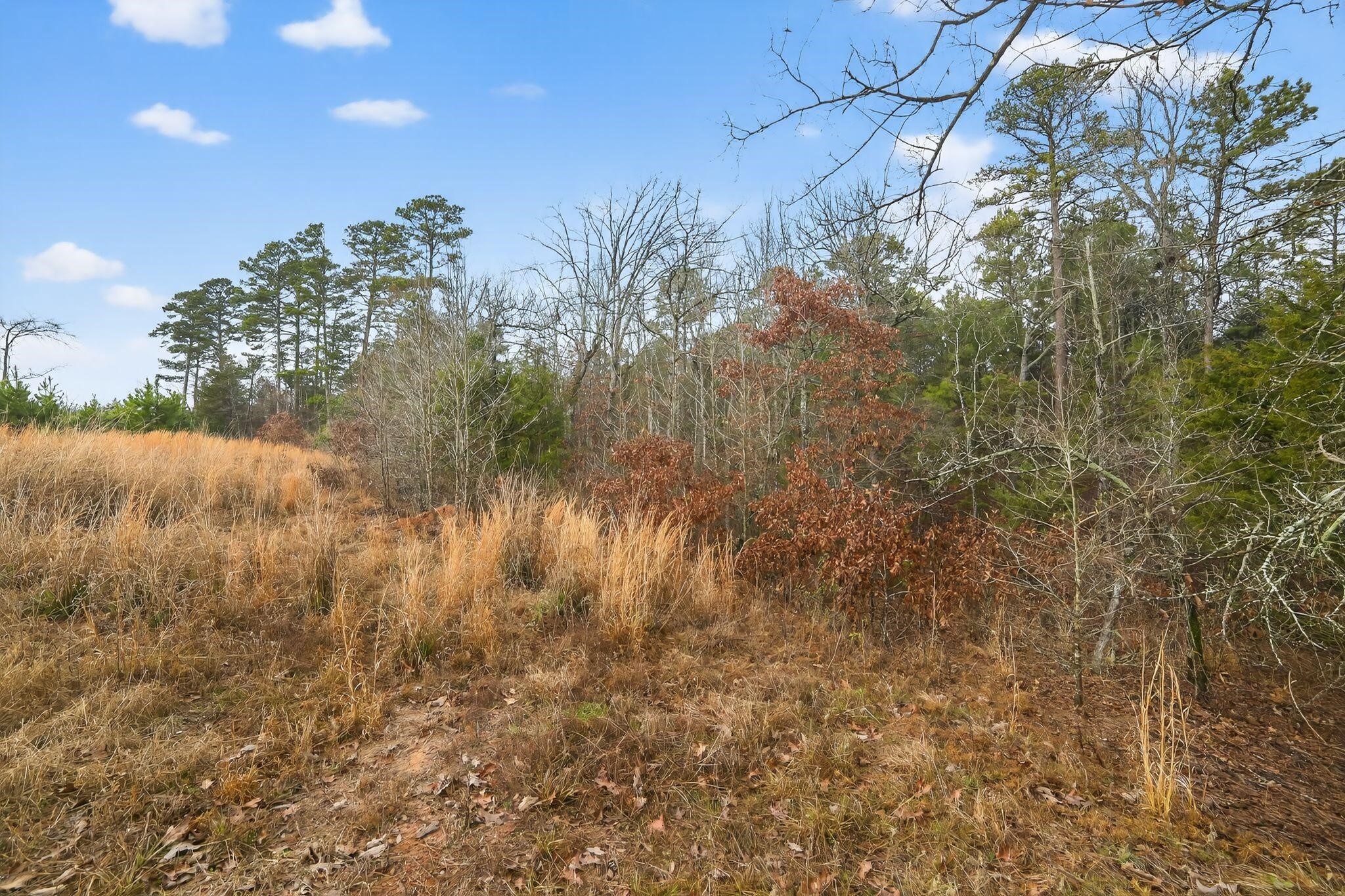 868 County Road 2920 Alba TX 75410