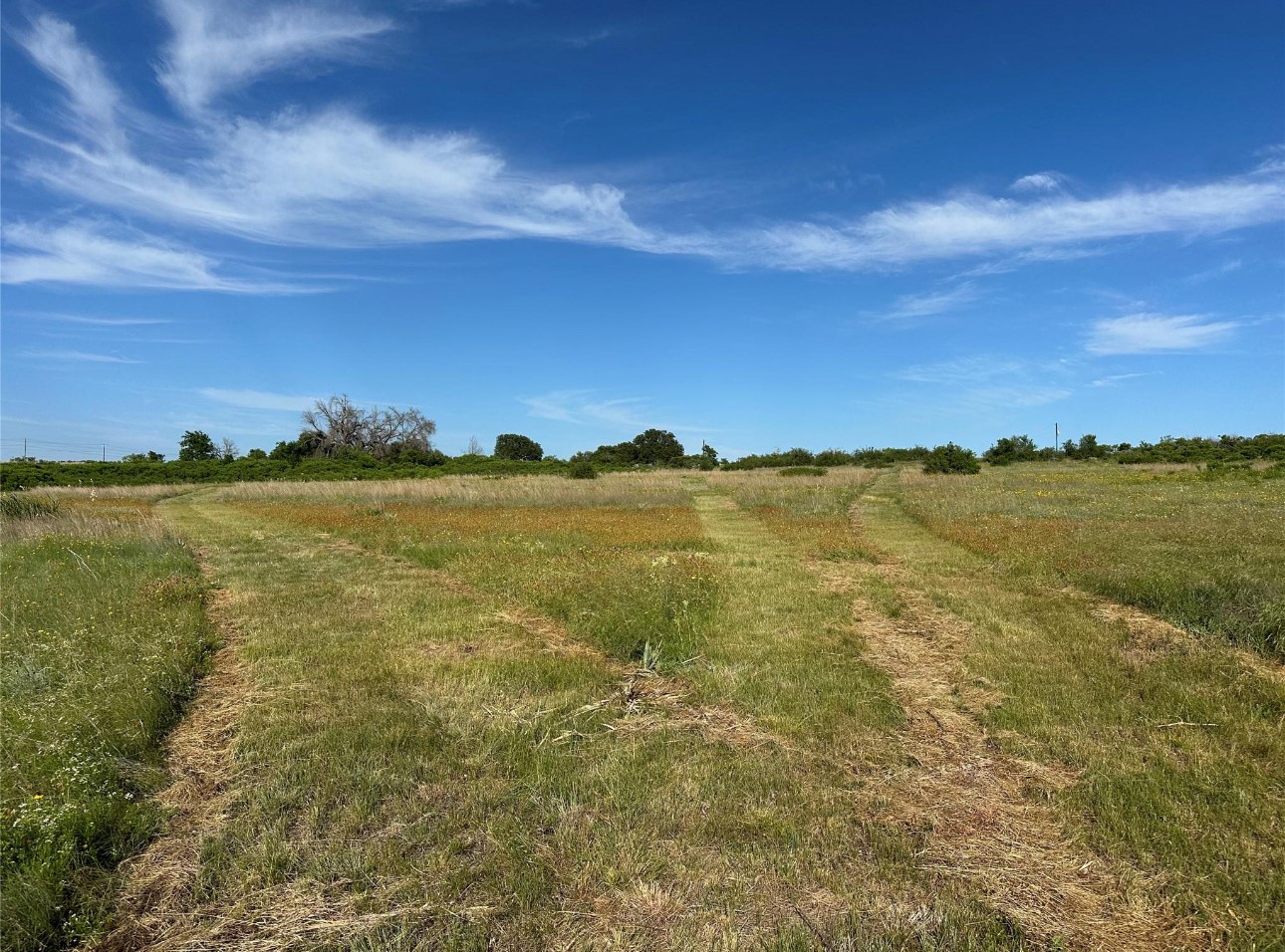 Tbd Cr 438 Dublin TX 76446