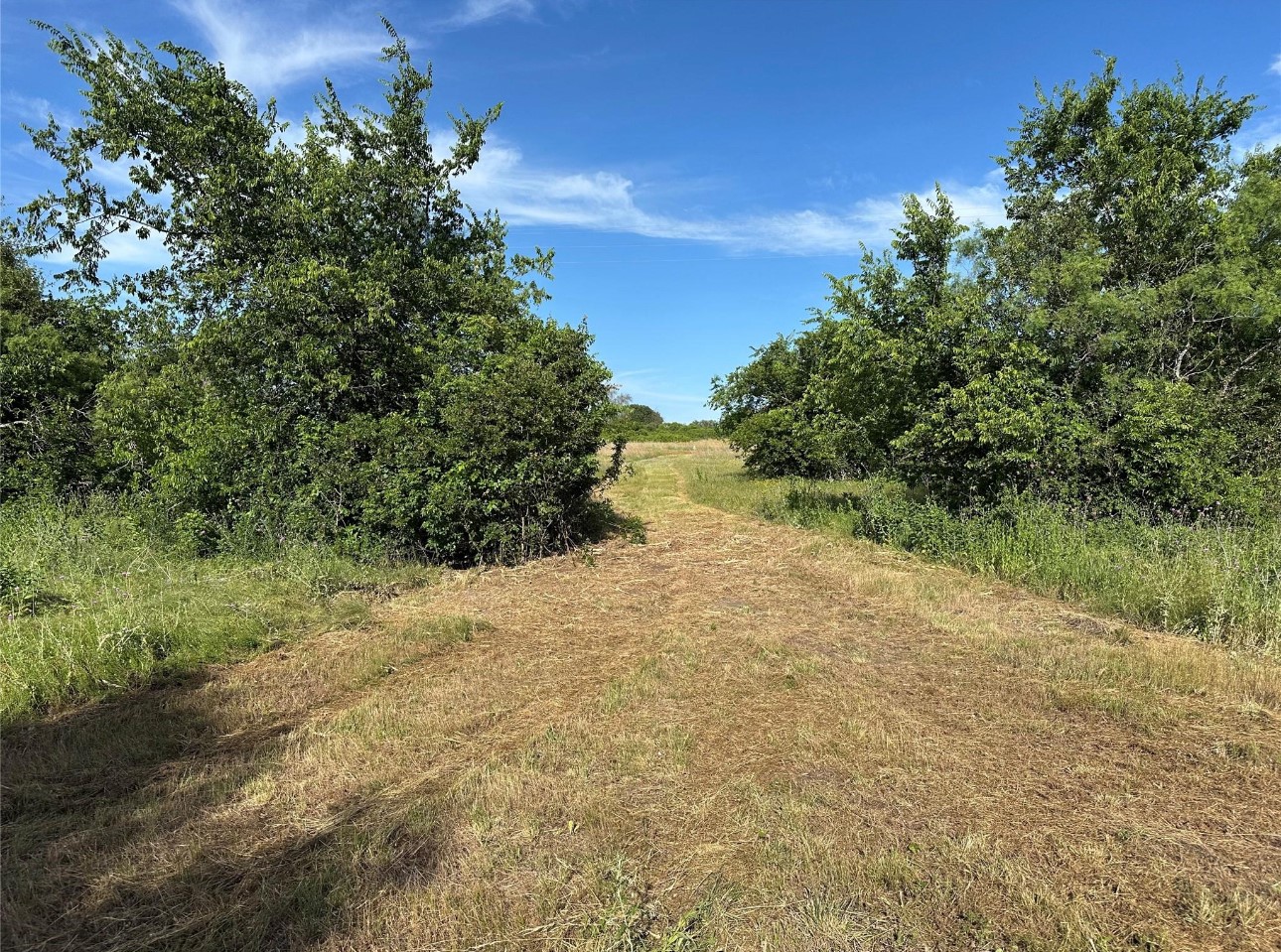 Tbd Cr 438 Dublin TX 76446