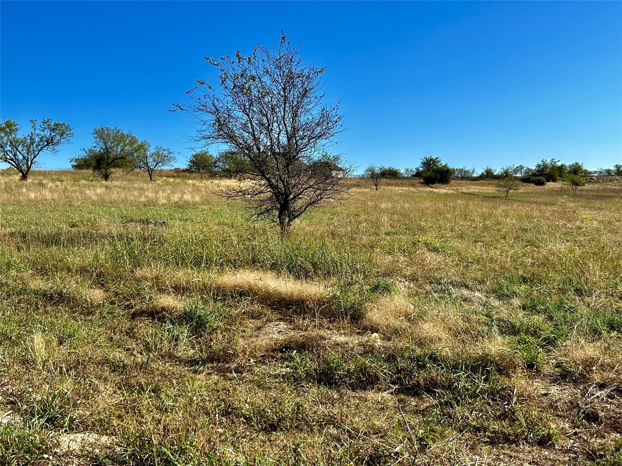 Tbd Tbd2 Aledo TX 76008