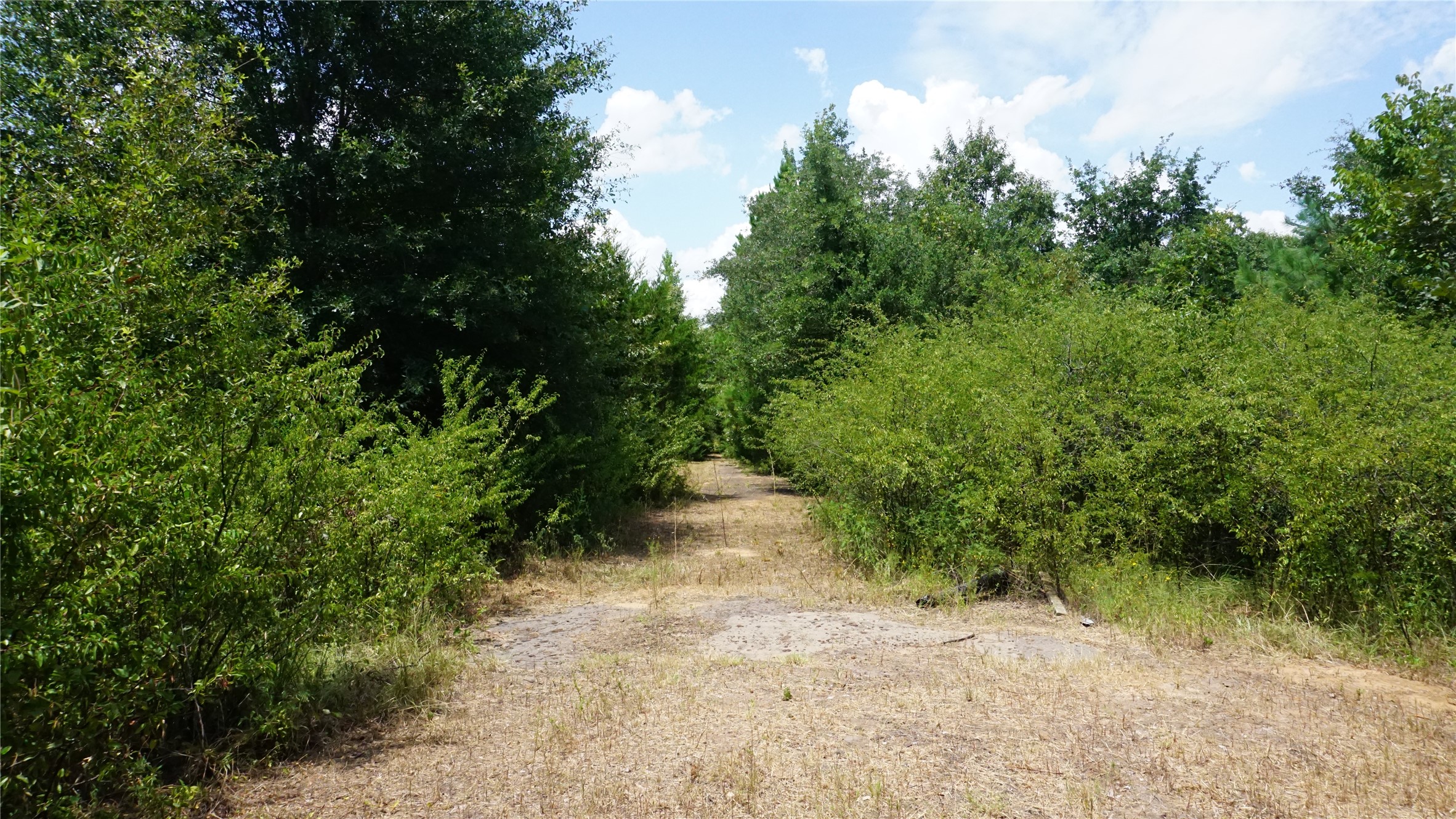 Tbd Private Road 7907 Hawkins TX 75765