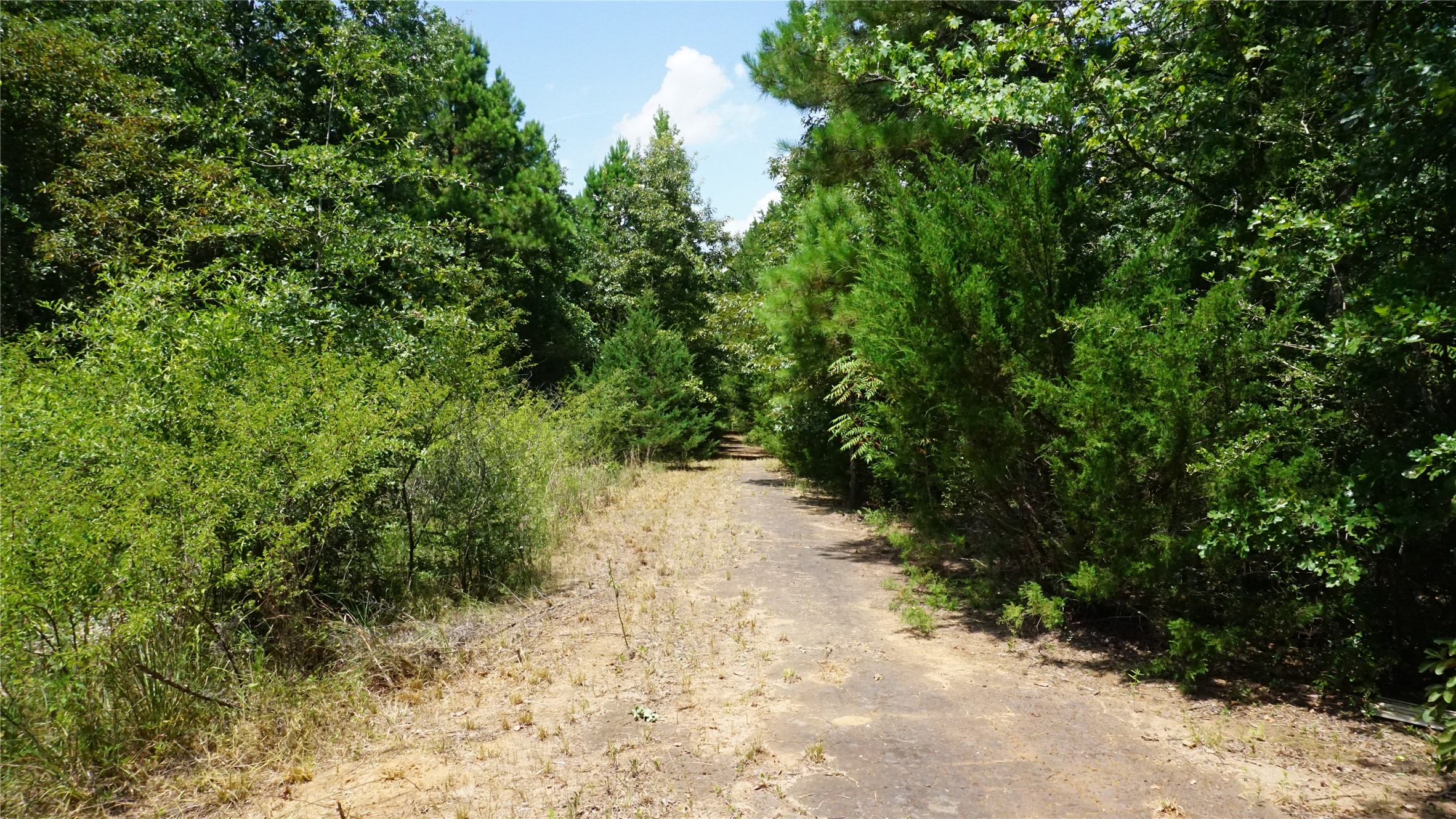 Tbd Private Road 7907 Hawkins TX 75765