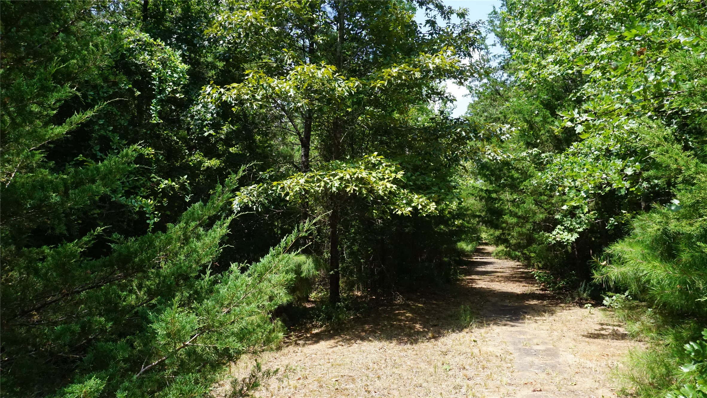 Tbd Private Road 7907 Hawkins TX 75765