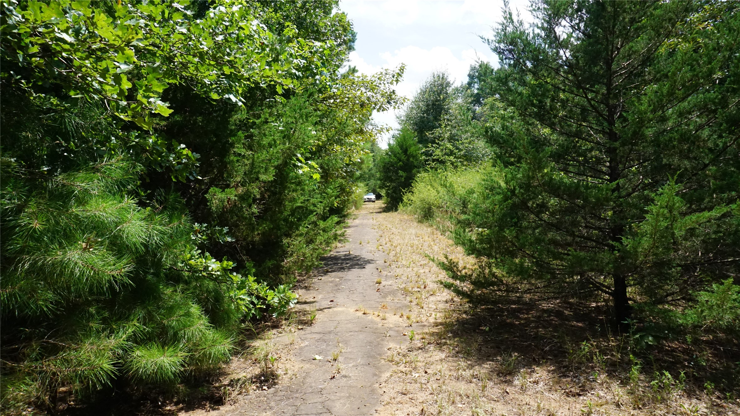 Tbd Private Road 7907 Hawkins TX 75765