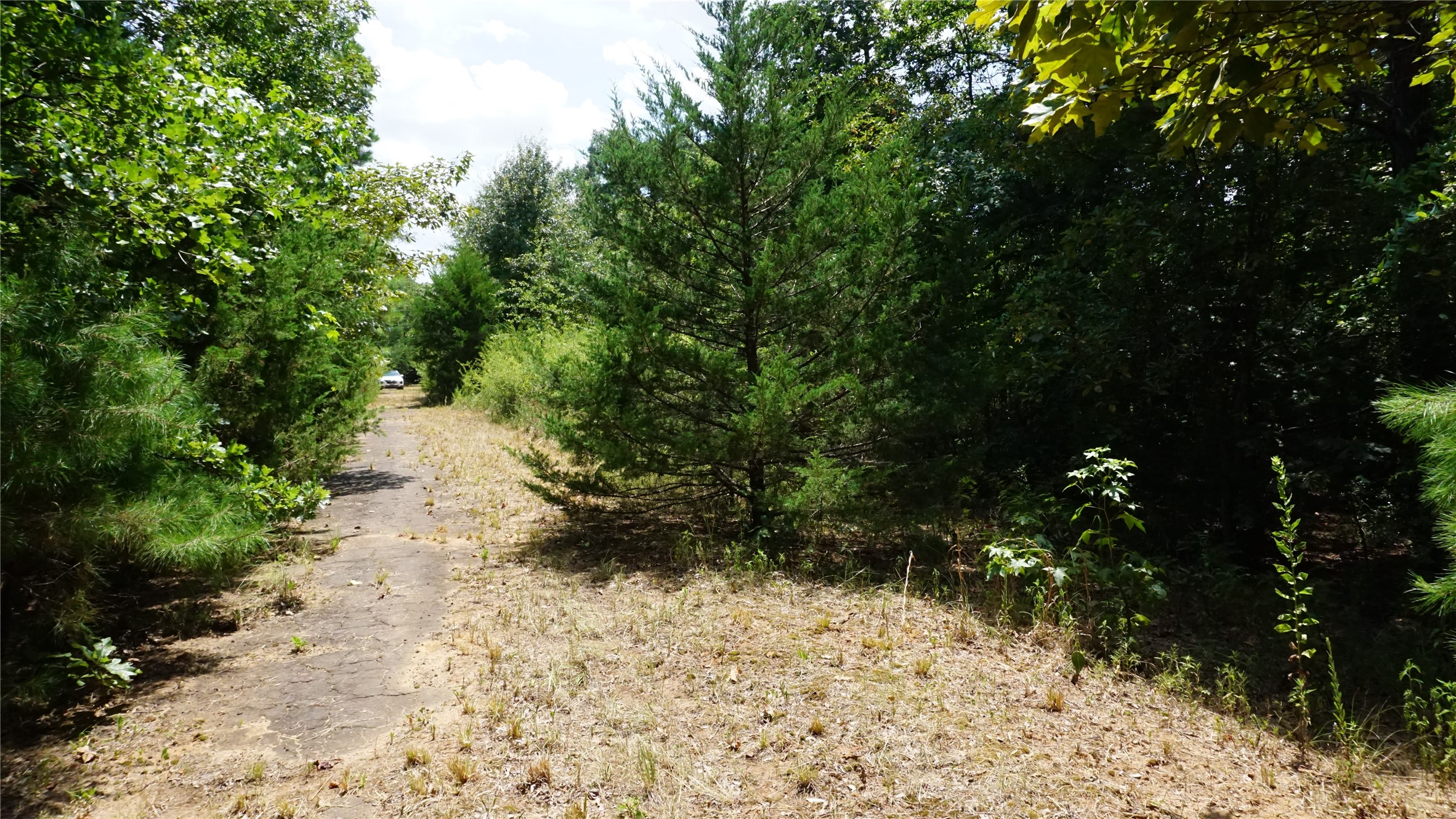 Tbd Private Road 7907 Hawkins TX 75765