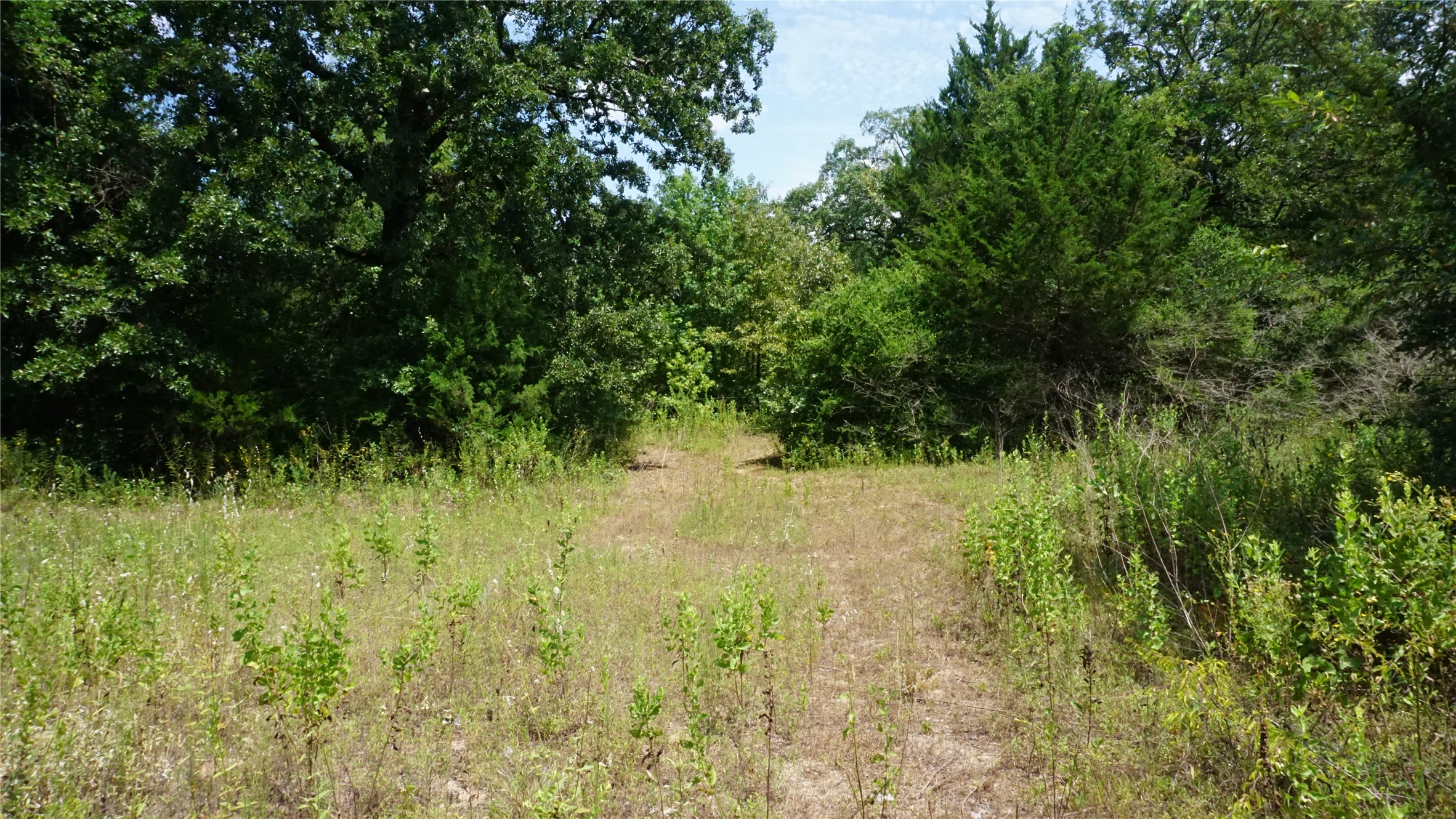 Tbd Private Road 7907 Hawkins TX 75765
