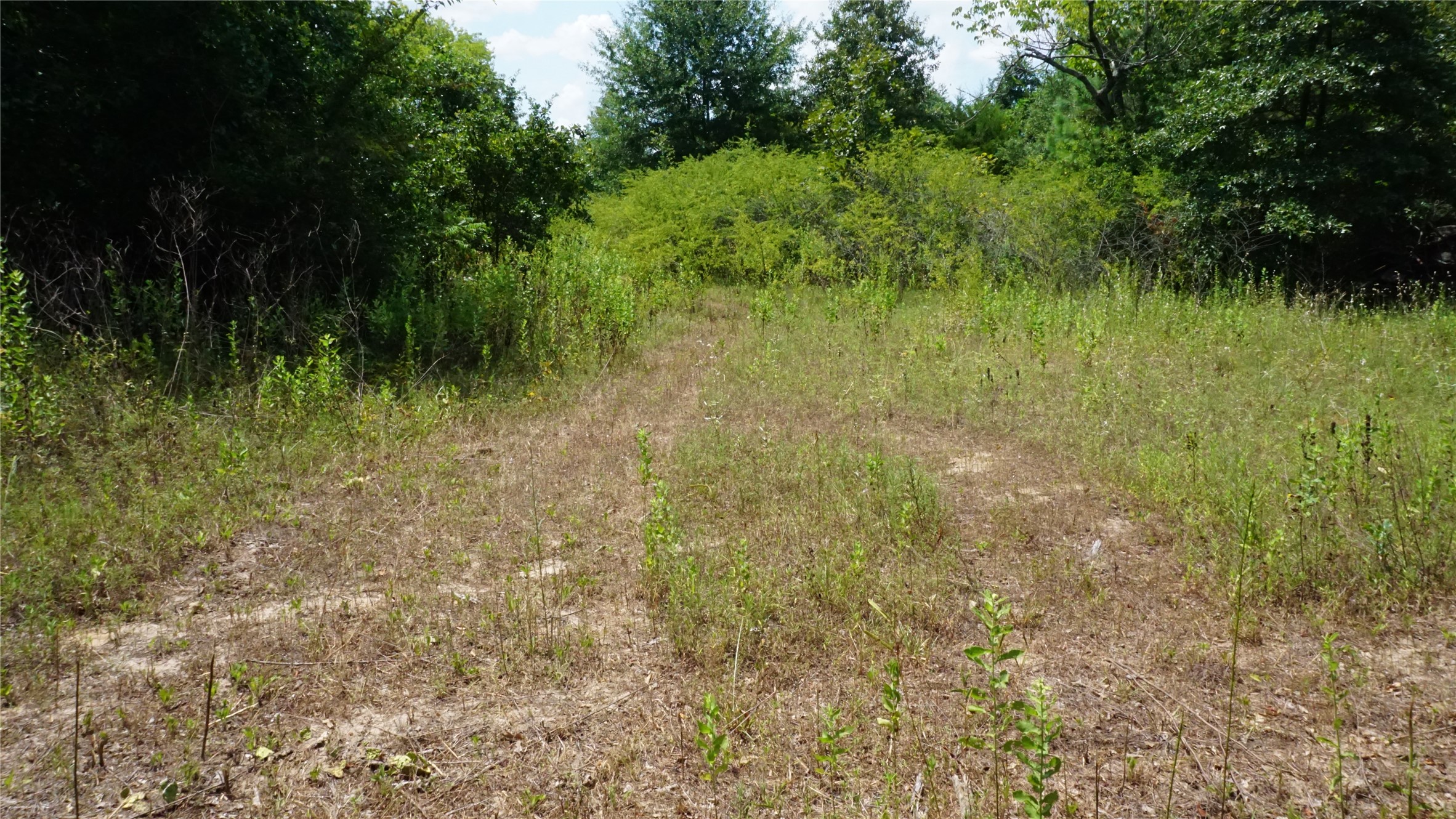 Tbd Private Road 7907 Hawkins TX 75765