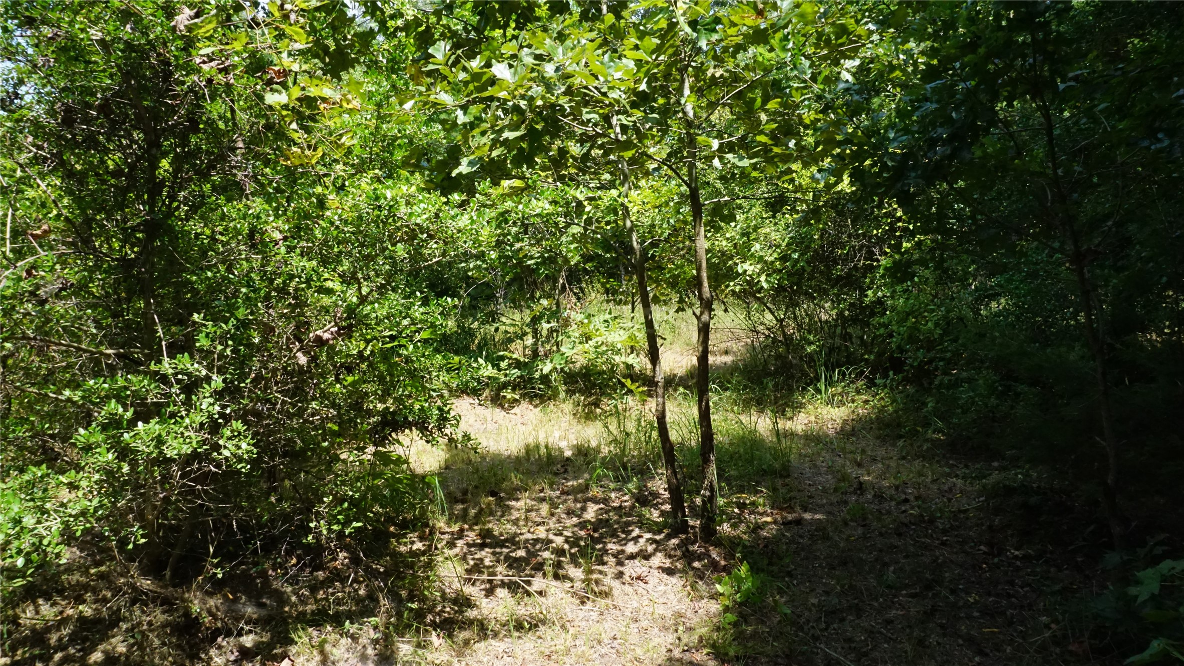 Tbd Private Road 7907 Hawkins TX 75765