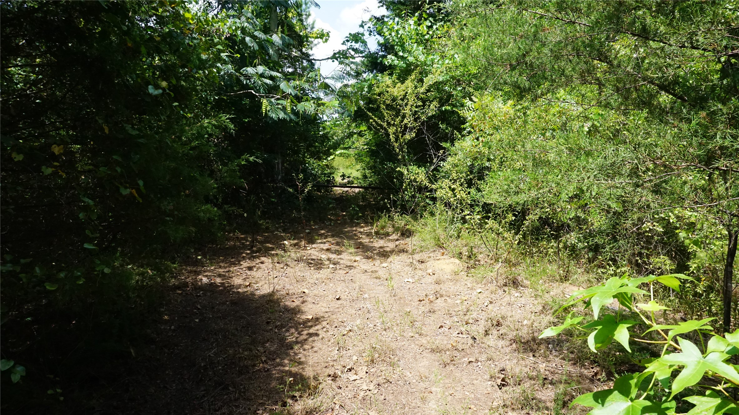 Tbd Private Road 7907 Hawkins TX 75765