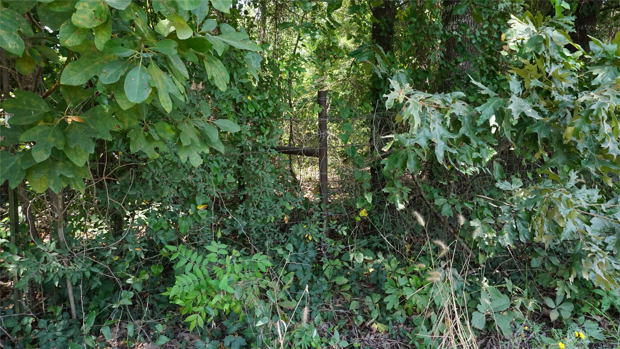 Tbd Private Road 7907 Hawkins TX 75765
