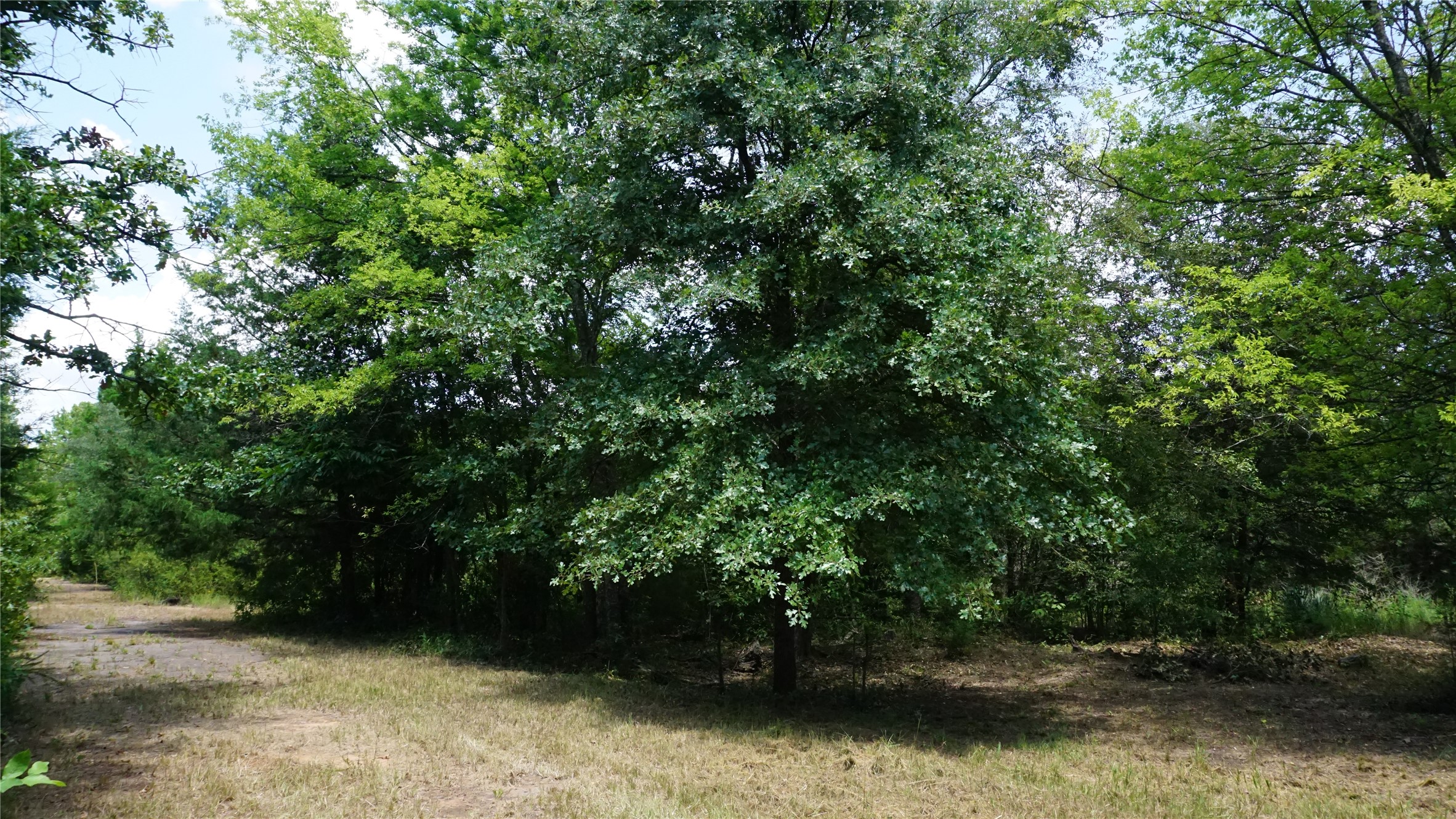 Tbd Private Road 7907 Hawkins TX 75765