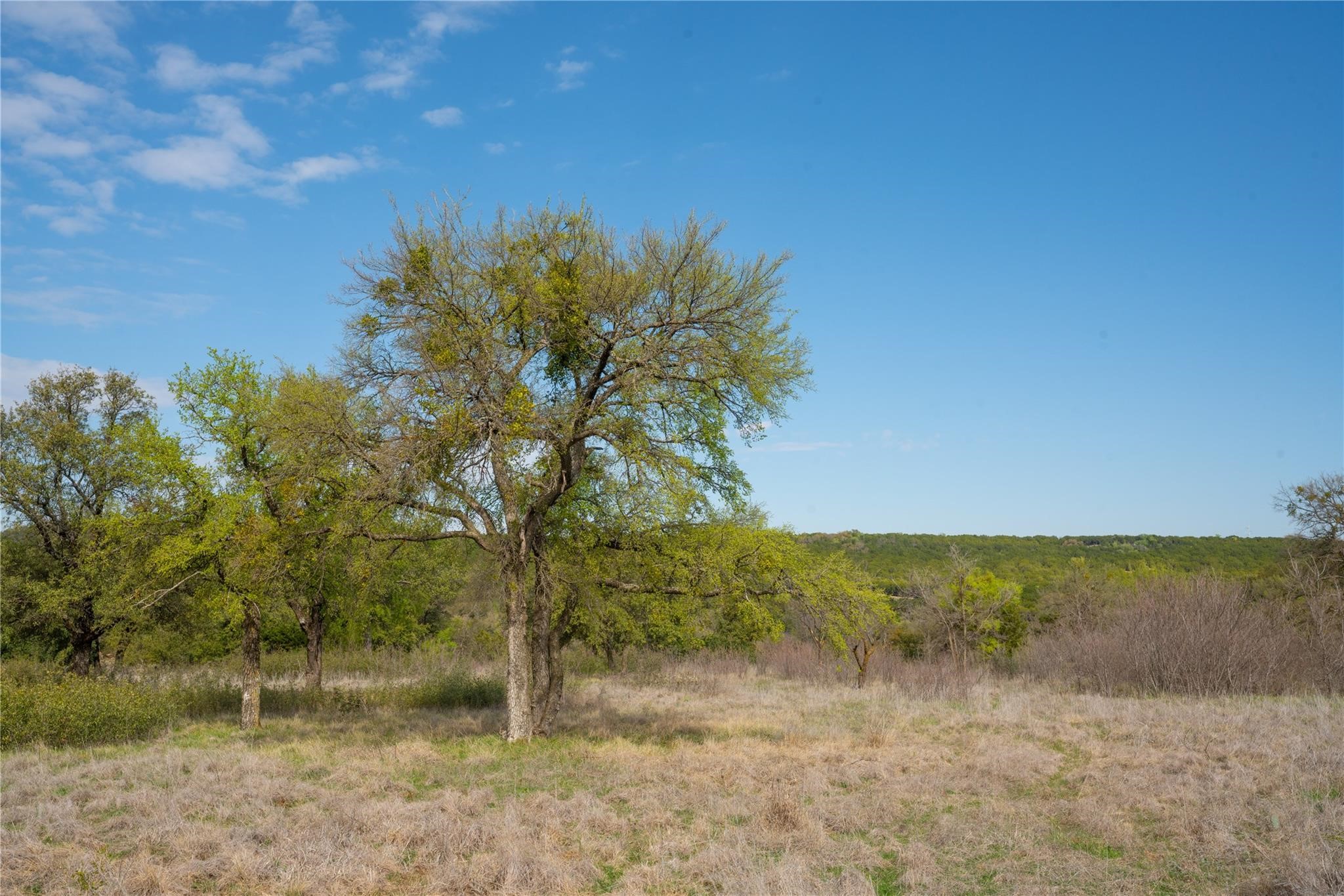 954R Frog Branch Court Possum Kingdom Lake TX 76449
