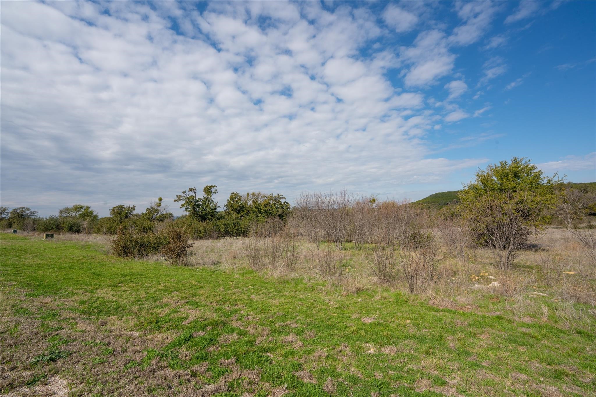 954R Frog Branch Court Possum Kingdom Lake TX 76449
