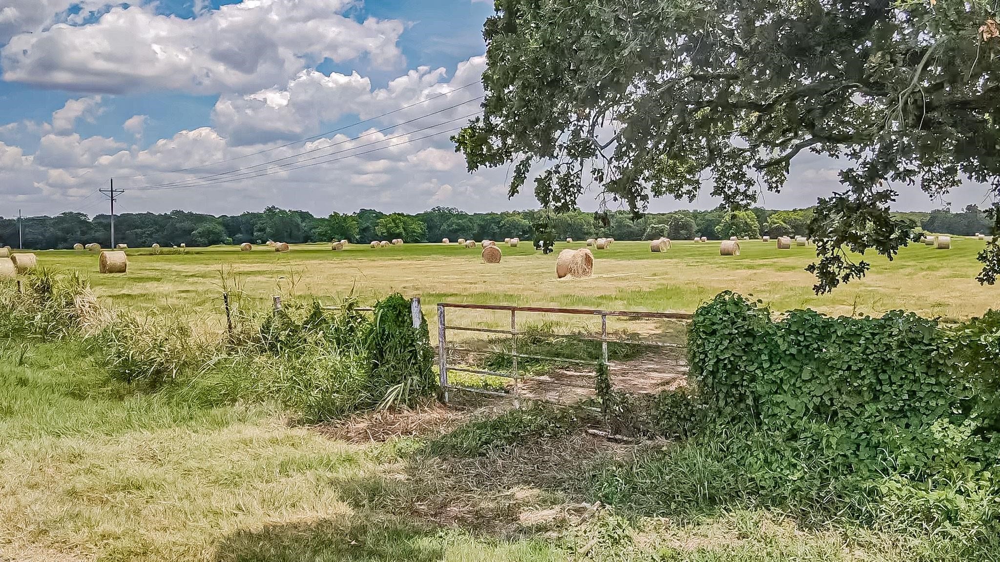 Lot 1 Gathings Avenue Covington TX 76636