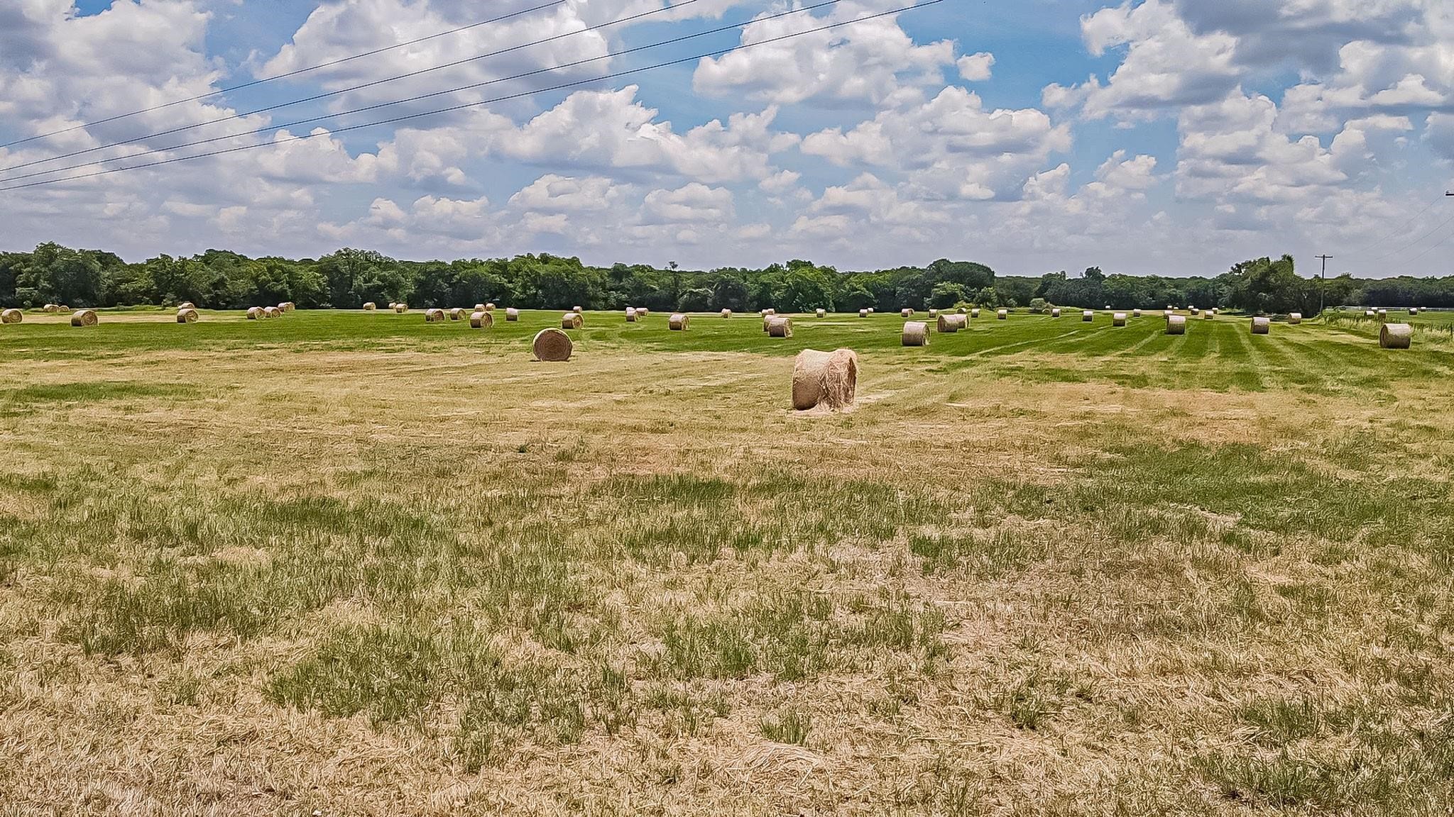 Lot 1 Gathings Avenue Covington TX 76636