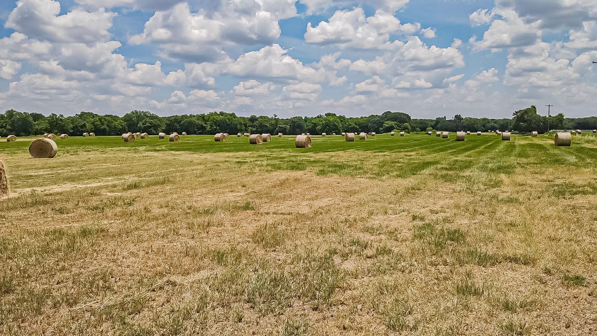 Lot 1 Gathings Avenue Covington TX 76636