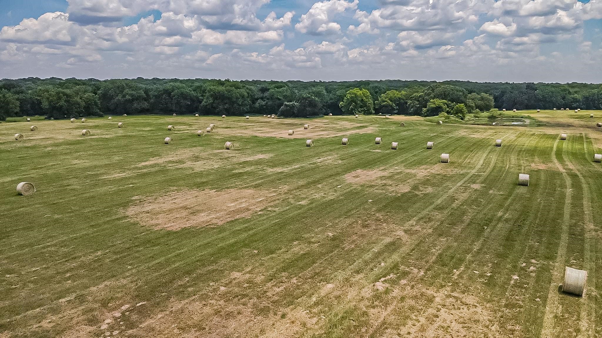 Lot 1 Gathings Avenue Covington TX 76636