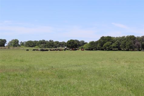 293 Acres Deer Creek Road Henrietta TX 76365