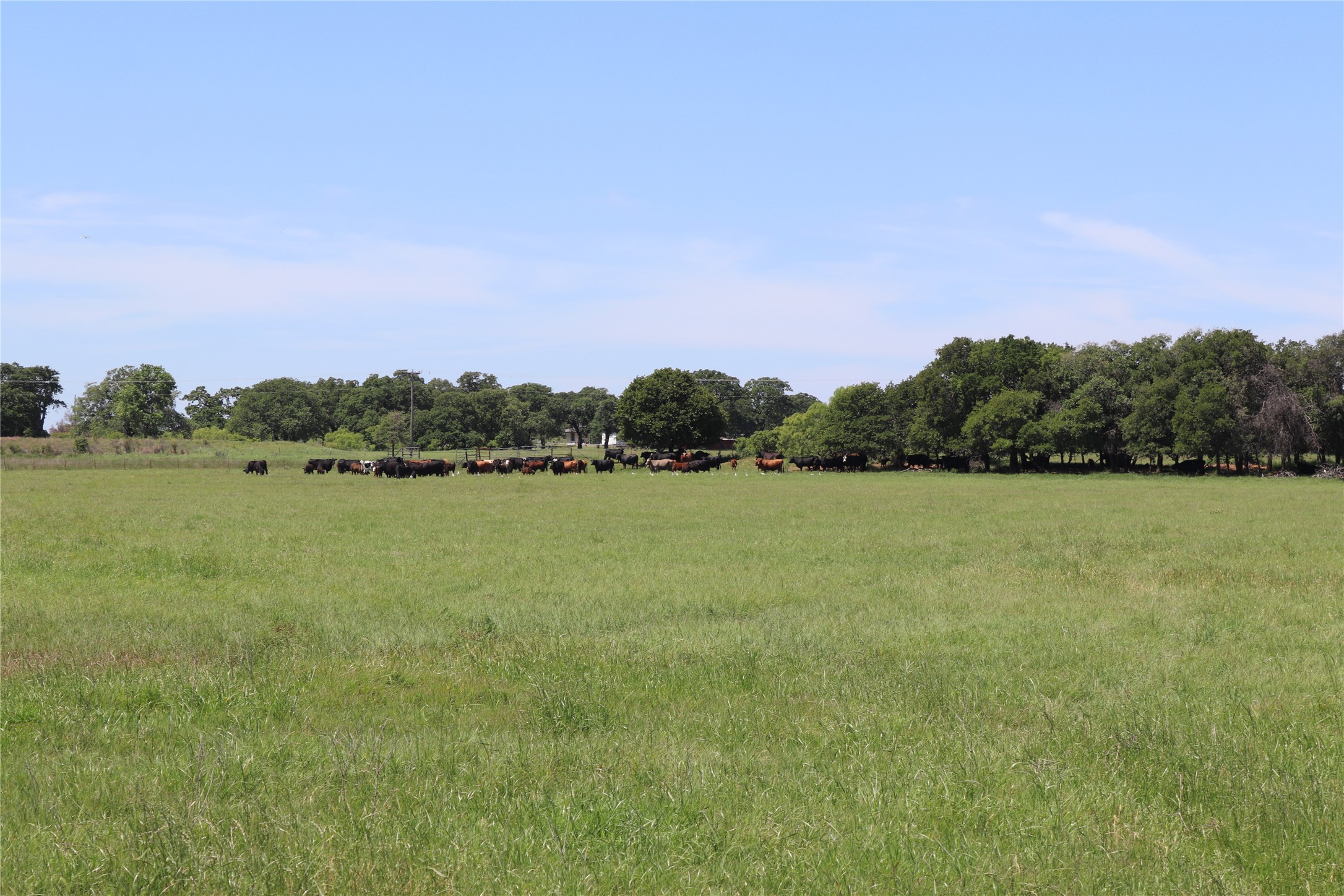 293 Acres Deer Creek Road Henrietta TX 76365