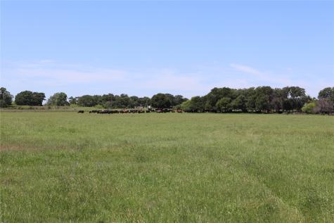293 Acres Deer Creek Road Henrietta TX 76365