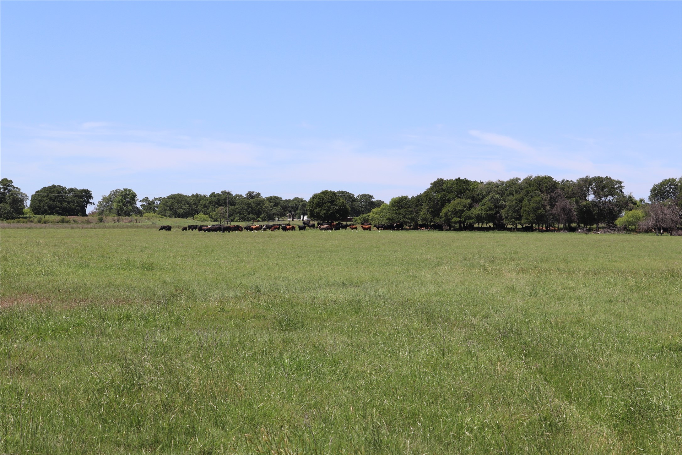 293 Acres Deer Creek Road Henrietta TX 76365