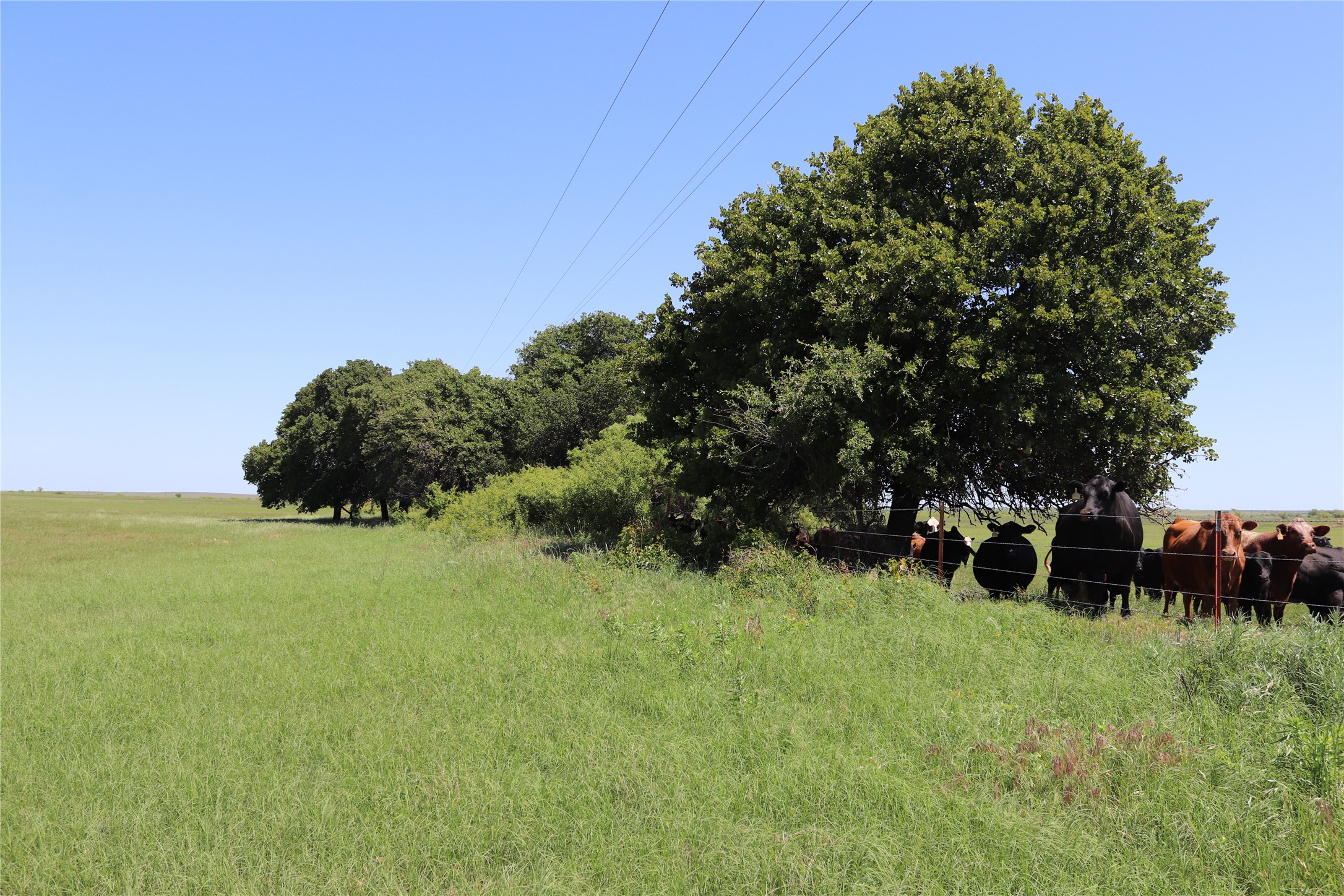 293 Acres Deer Creek Road Henrietta TX 76365