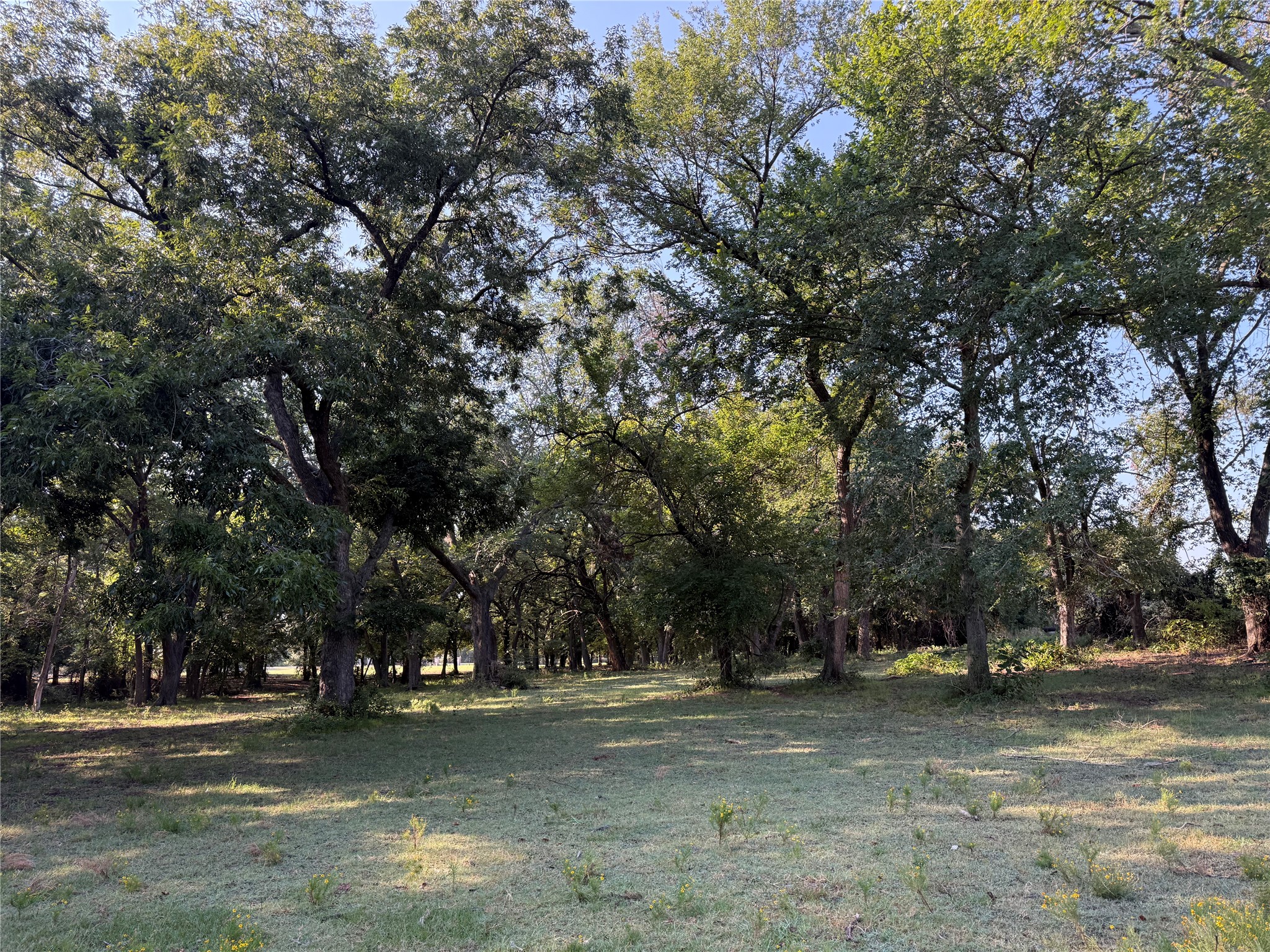 Tbd W. Jeter Bartonville TX 76226
