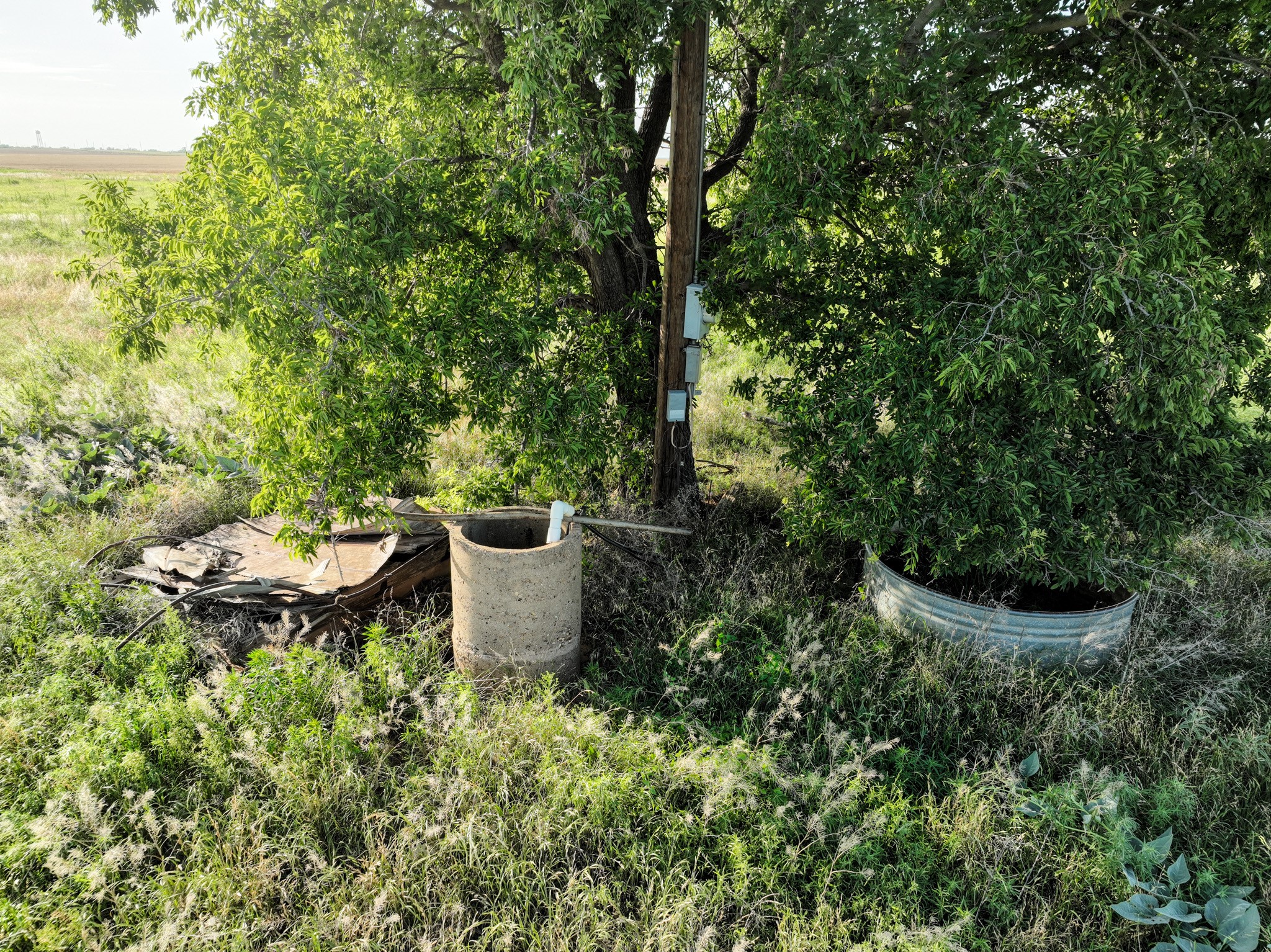 1250 County Road 4430 Knox City TX 79529