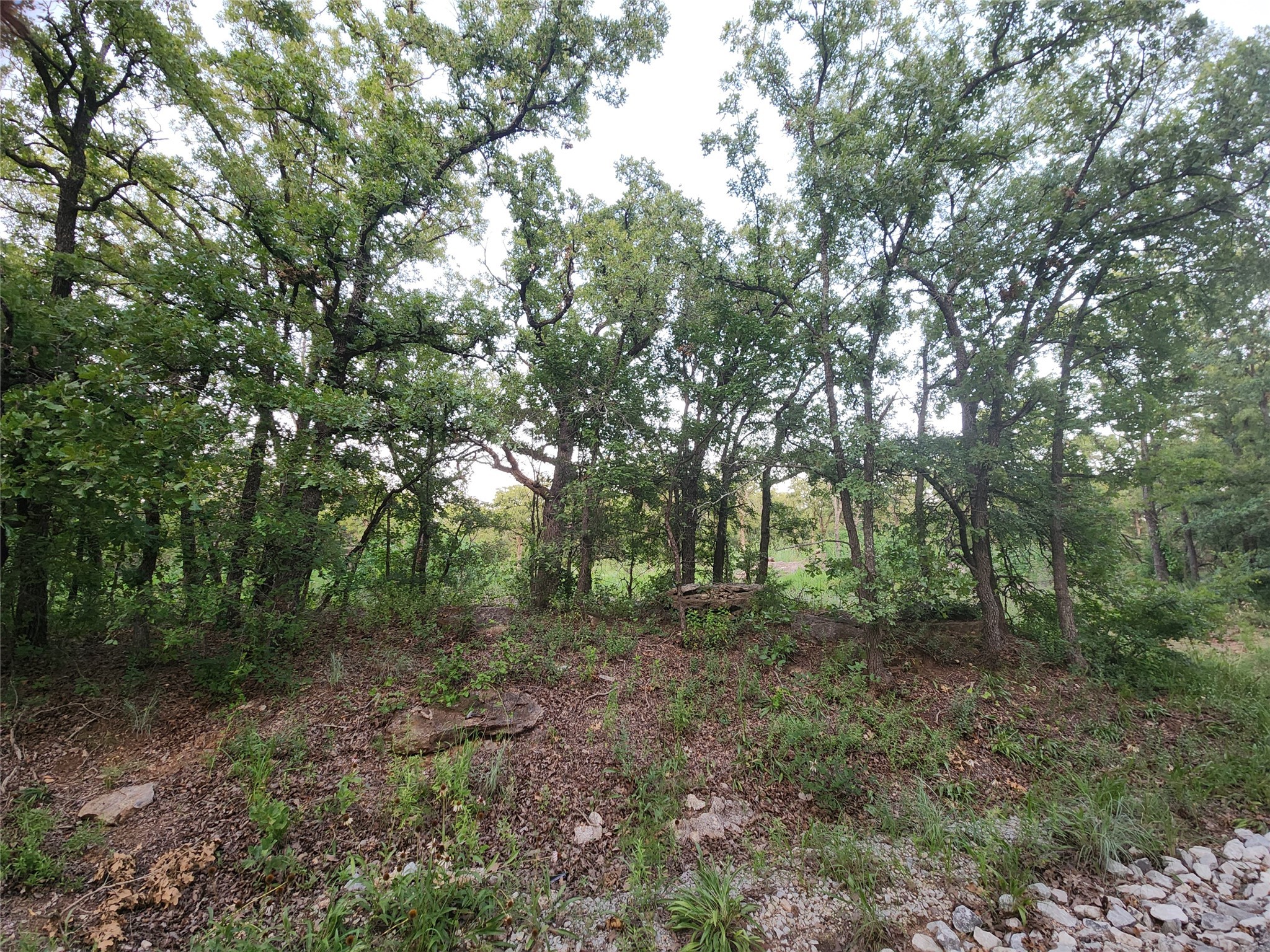 491 County Road 1770 Chico TX 76431