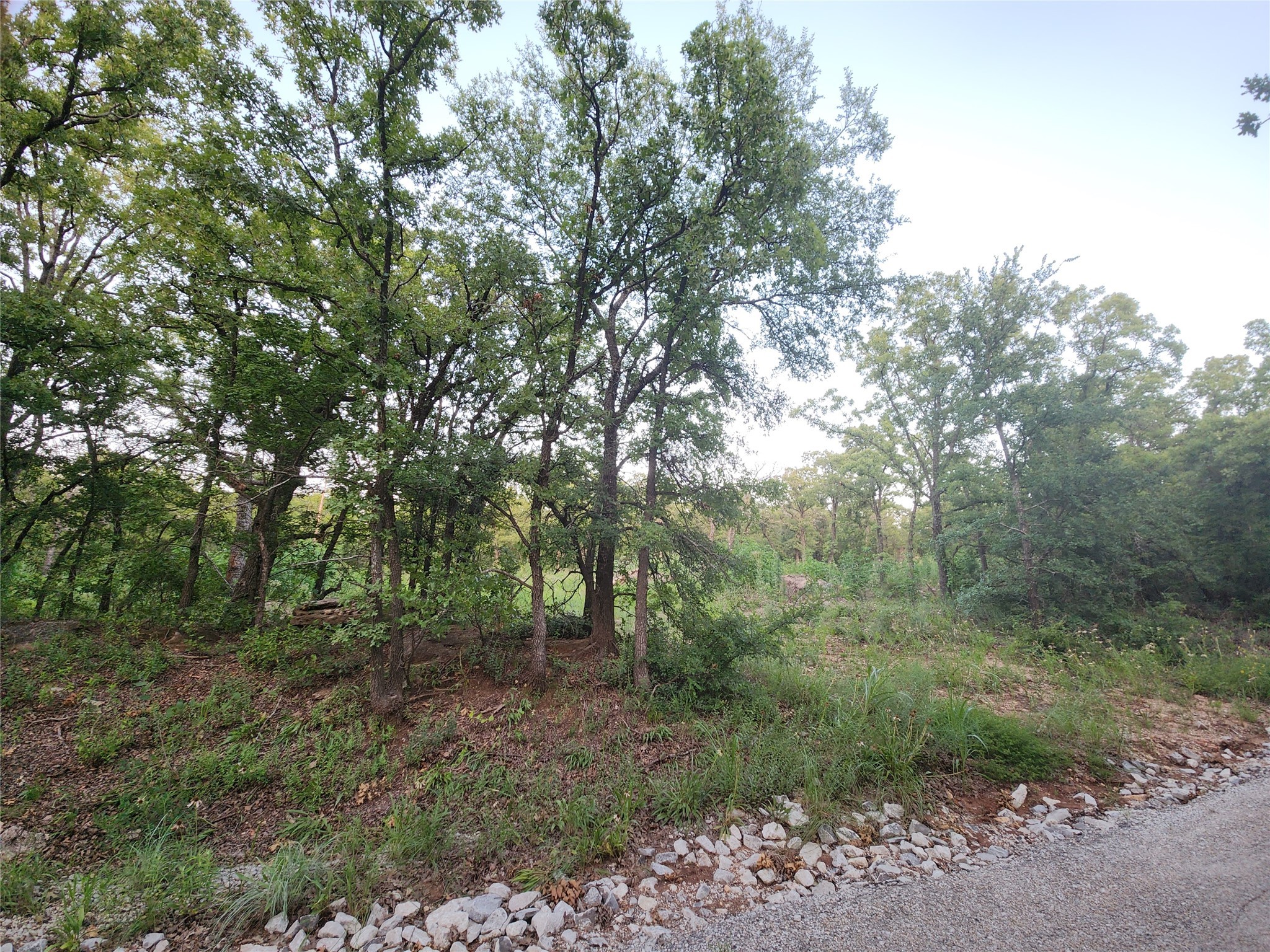 491 County Road 1770 Chico TX 76431