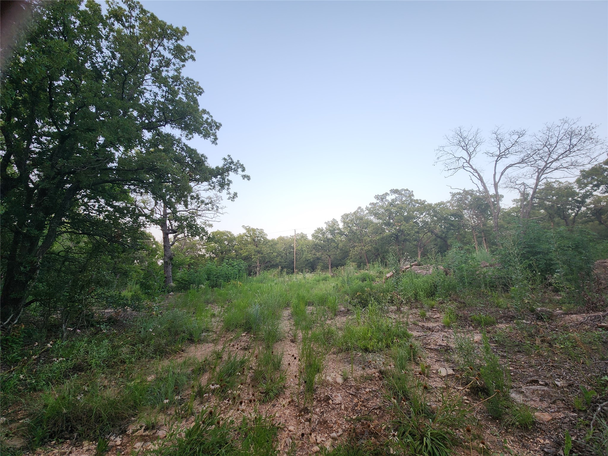 491 County Road 1770 Chico TX 76431