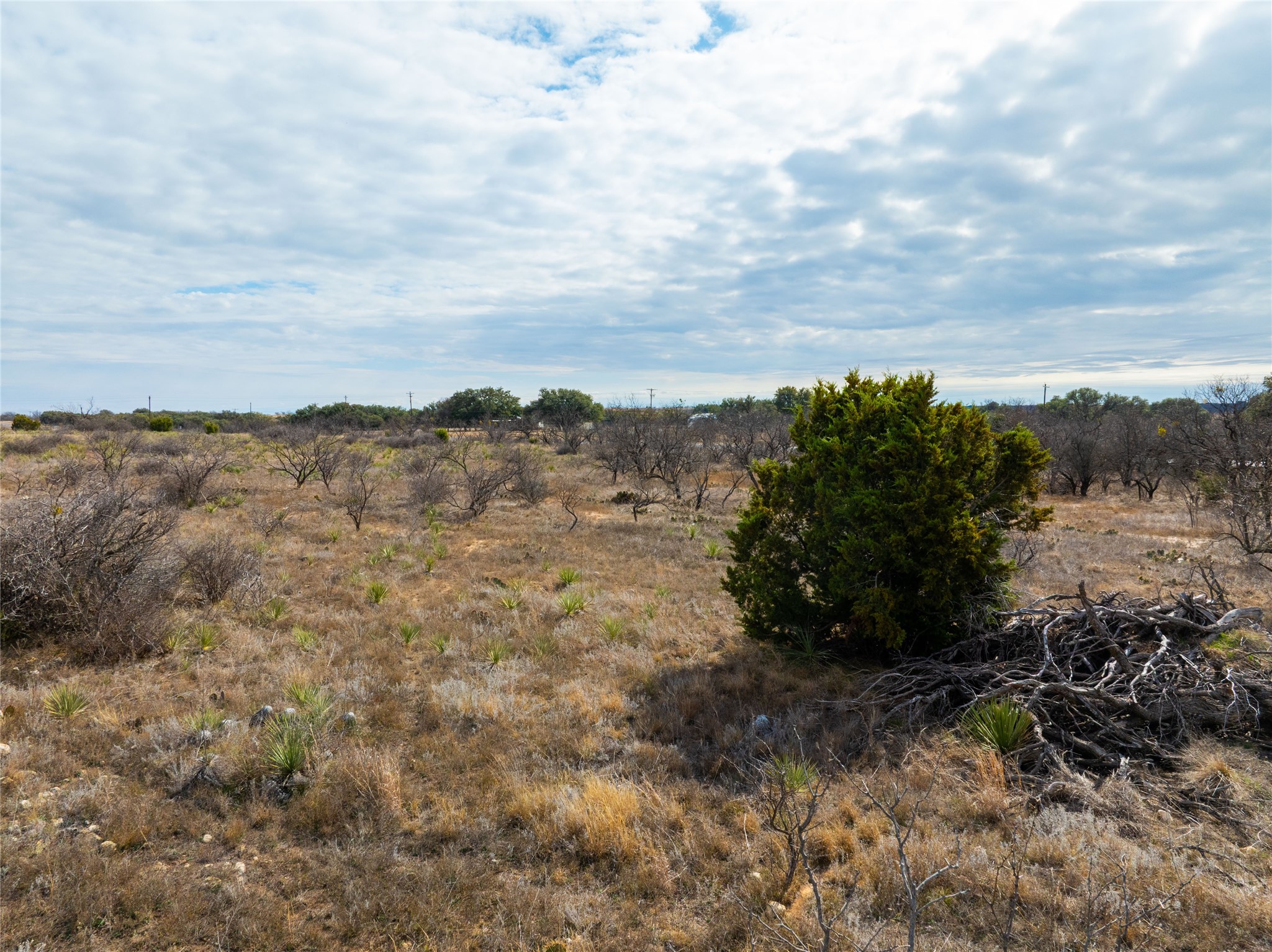 100 Fm 503 Coleman TX 76834