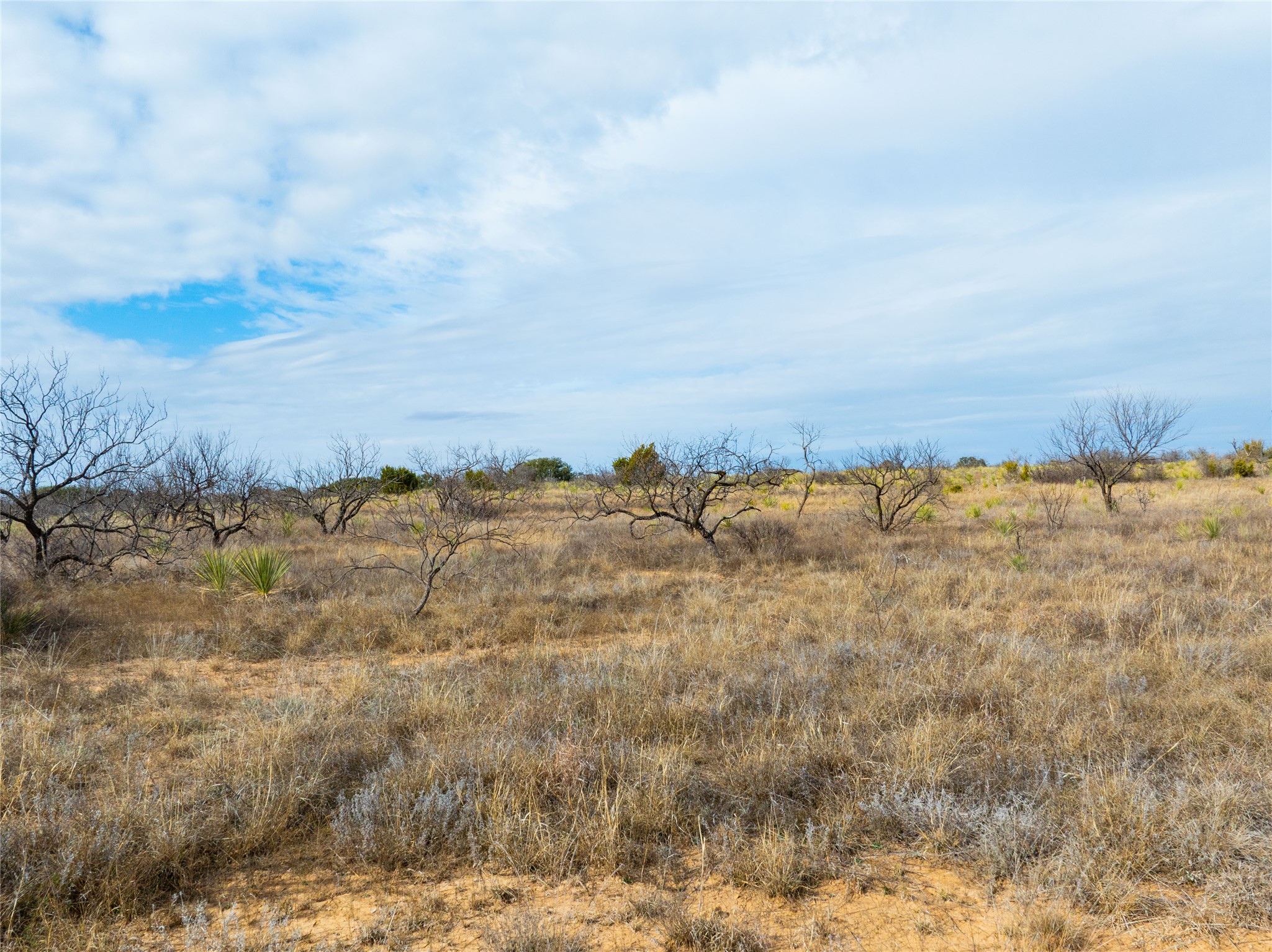 100 Fm 503 Coleman TX 76834
