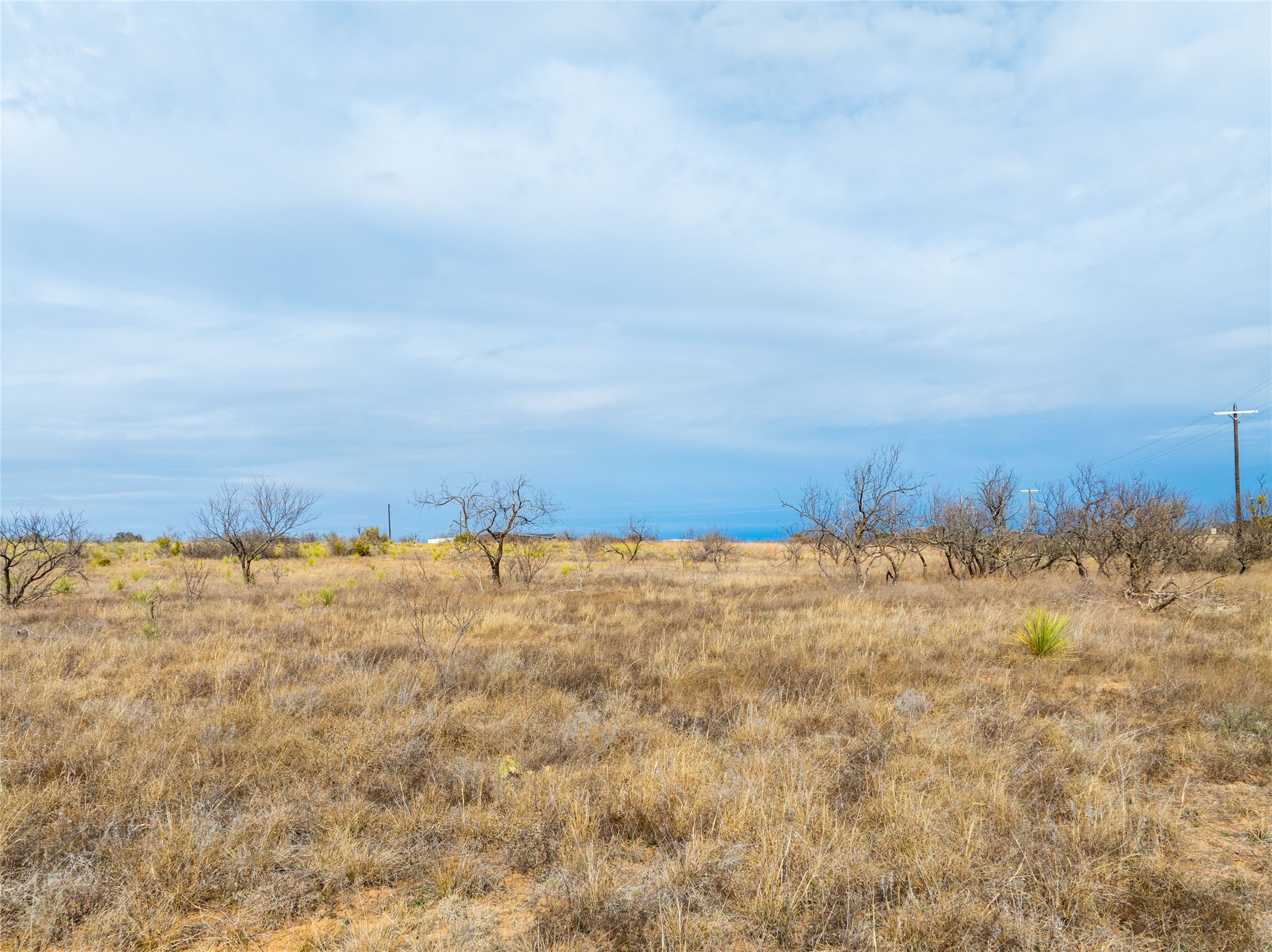100 Fm 503 Coleman TX 76834