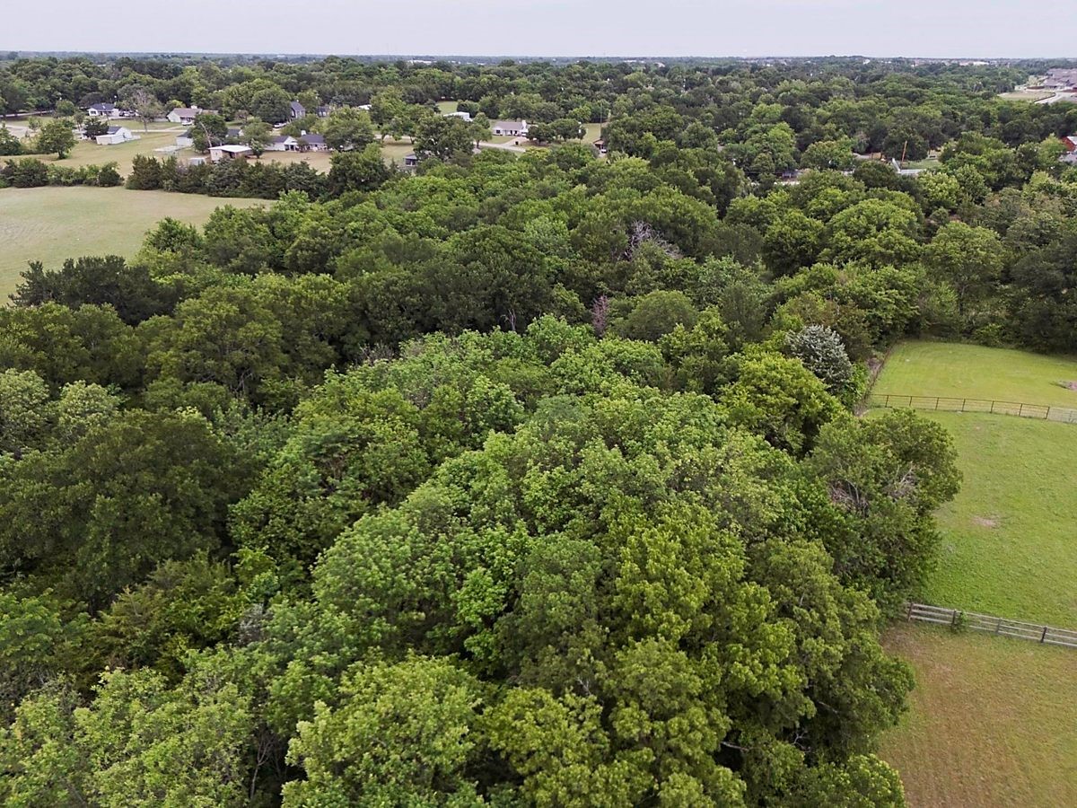 Tbd Traildust Drive Lowry Crossing TX 75069