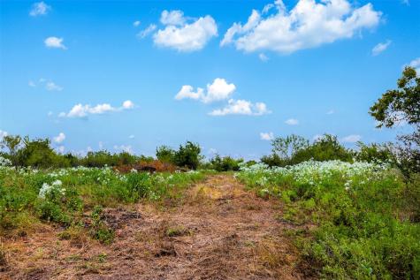Tract 2 Tbd Lcr 392 Groesbeck TX 76642
