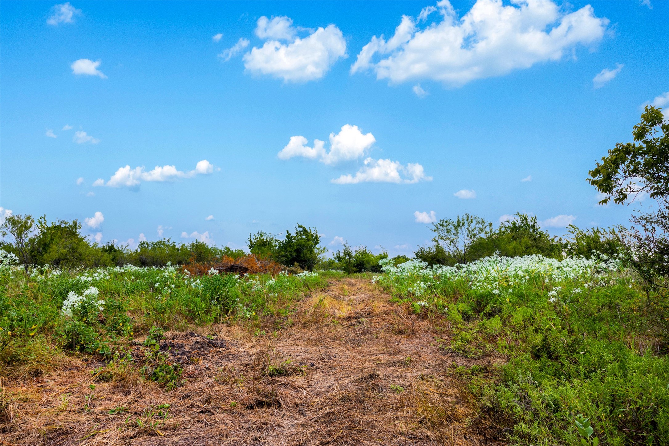 Tract 2 Tbd Lcr 392 Groesbeck TX 76642